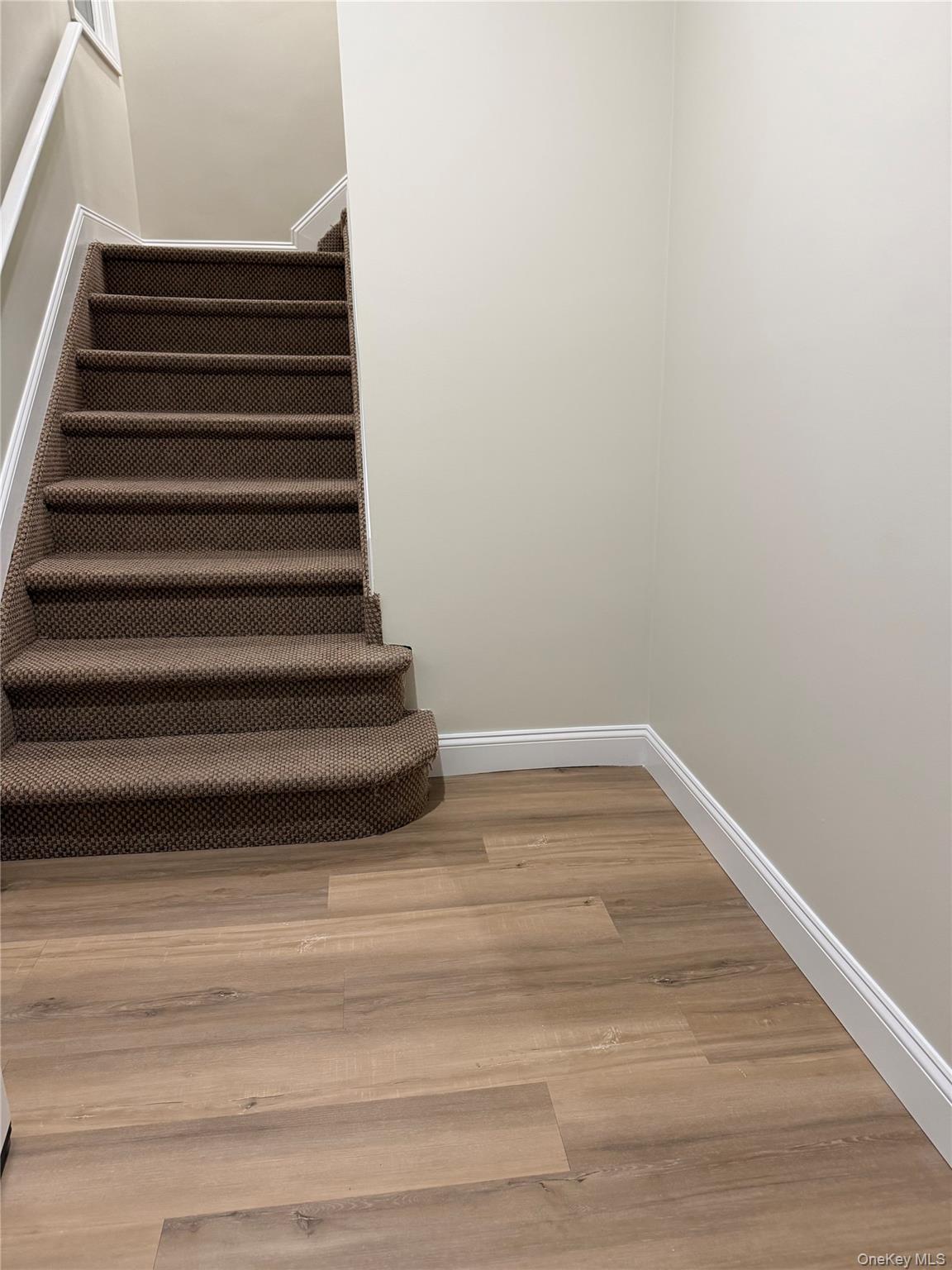 157 Lafayette Avenue