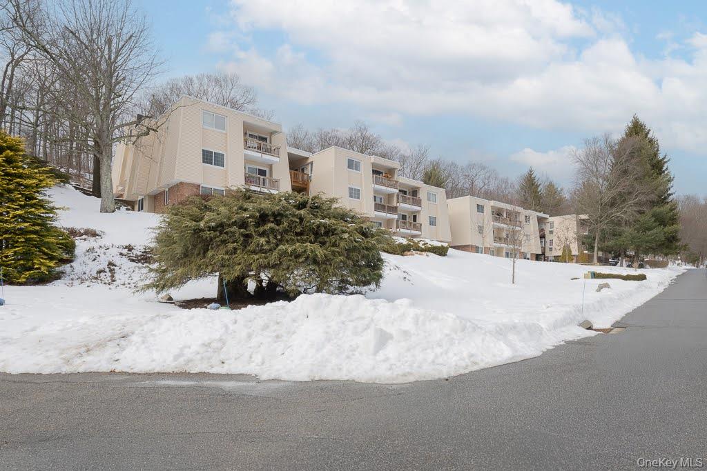 219 Fox Run Lane Unit: 2C