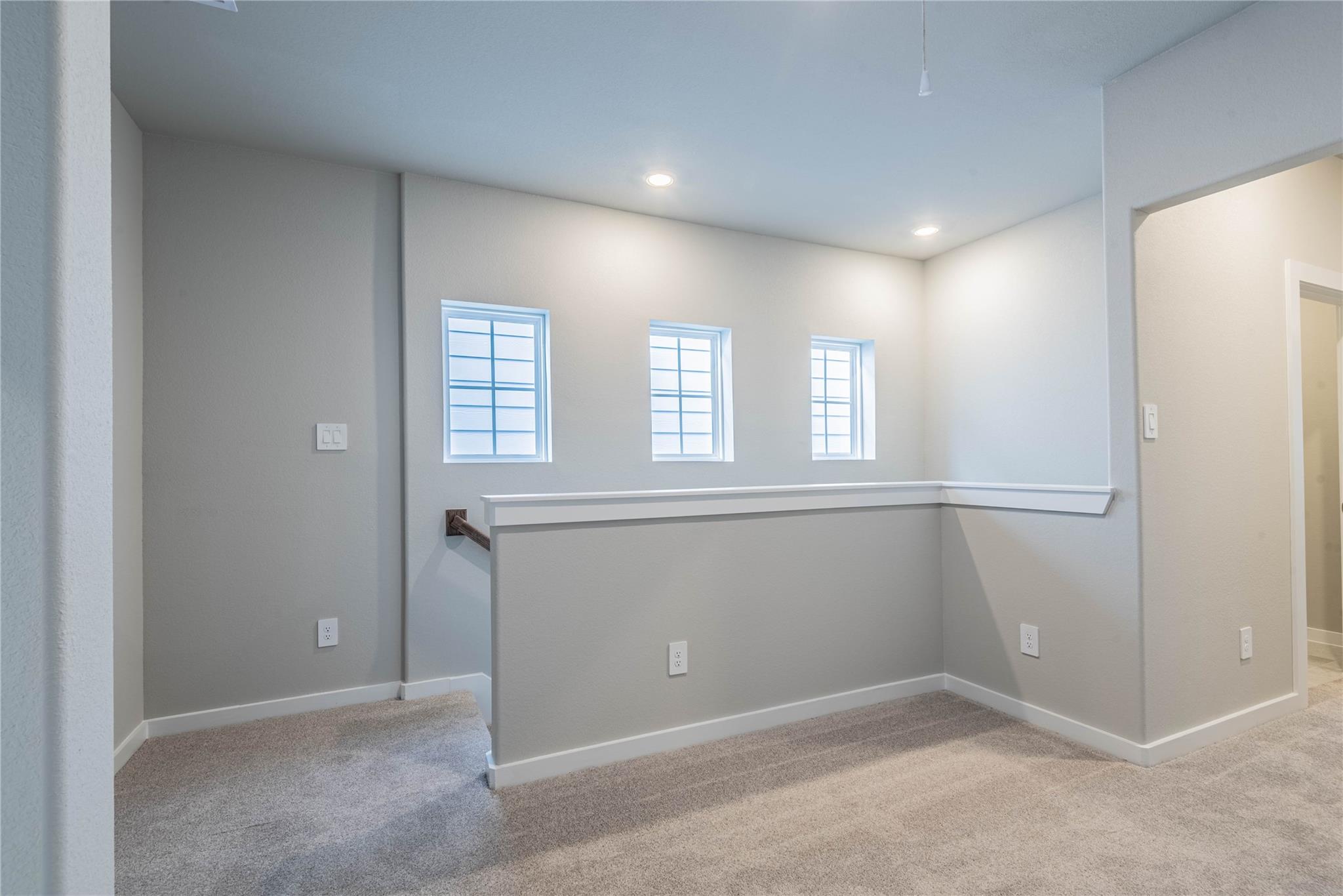 4109 Fig Grove Street, Houston