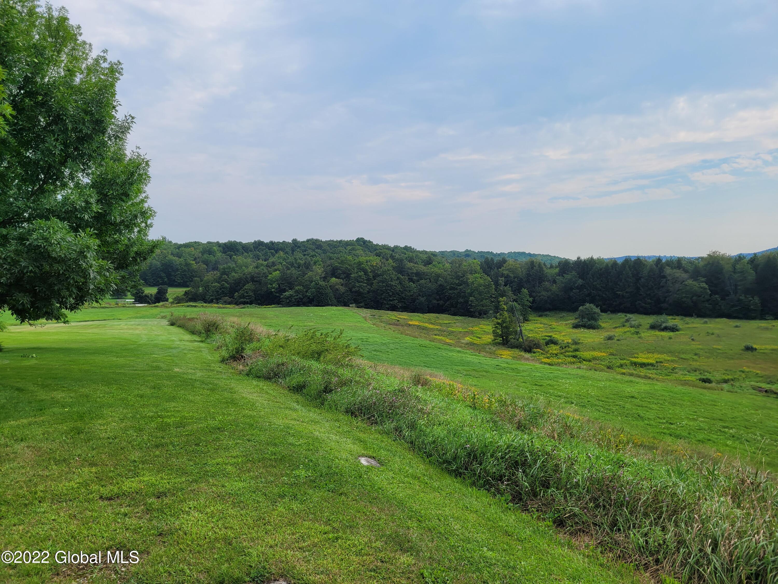 112 Ash Meadows