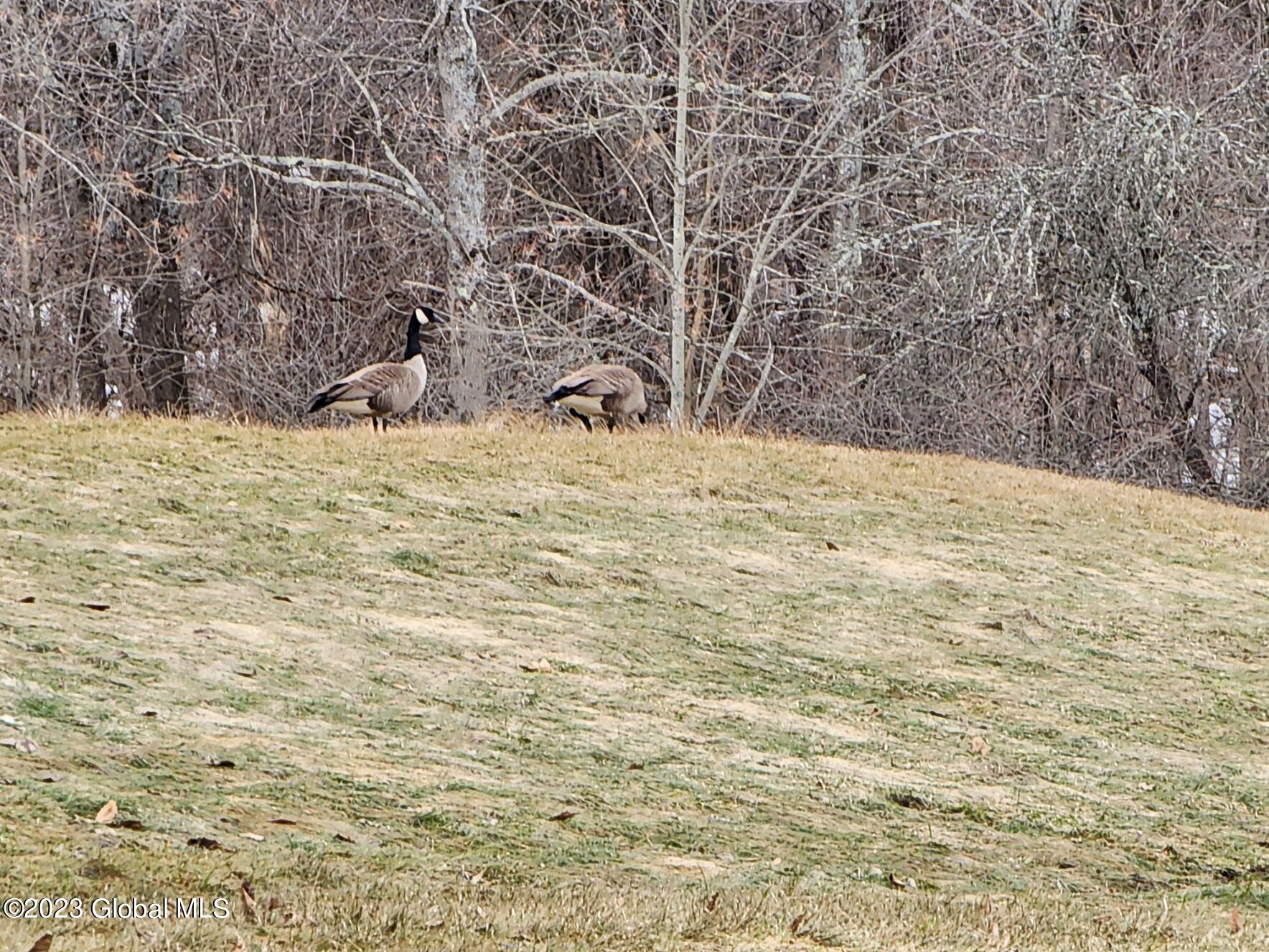 845 Brooker Hollow Road