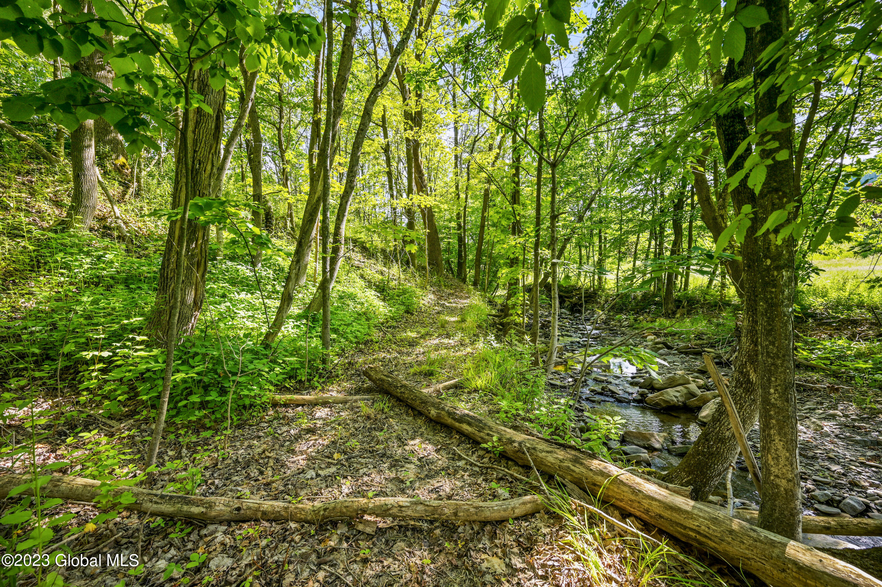 477 Beards Hollow Road