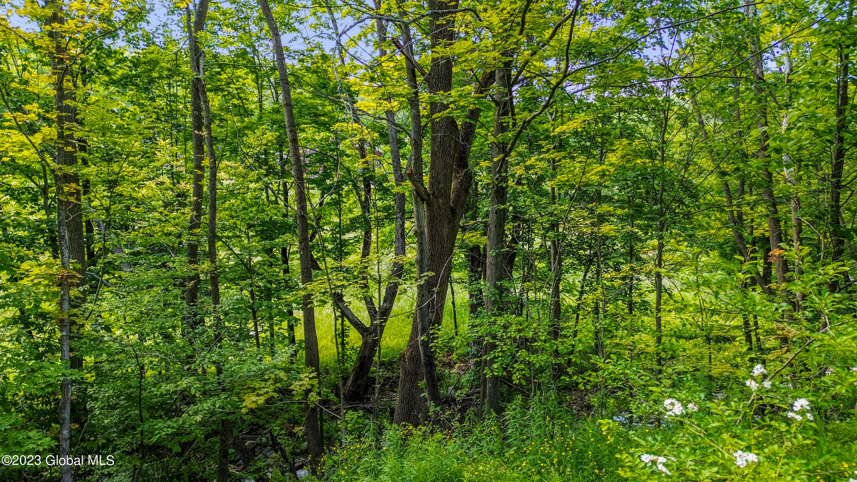 477 Beards Hollow Road