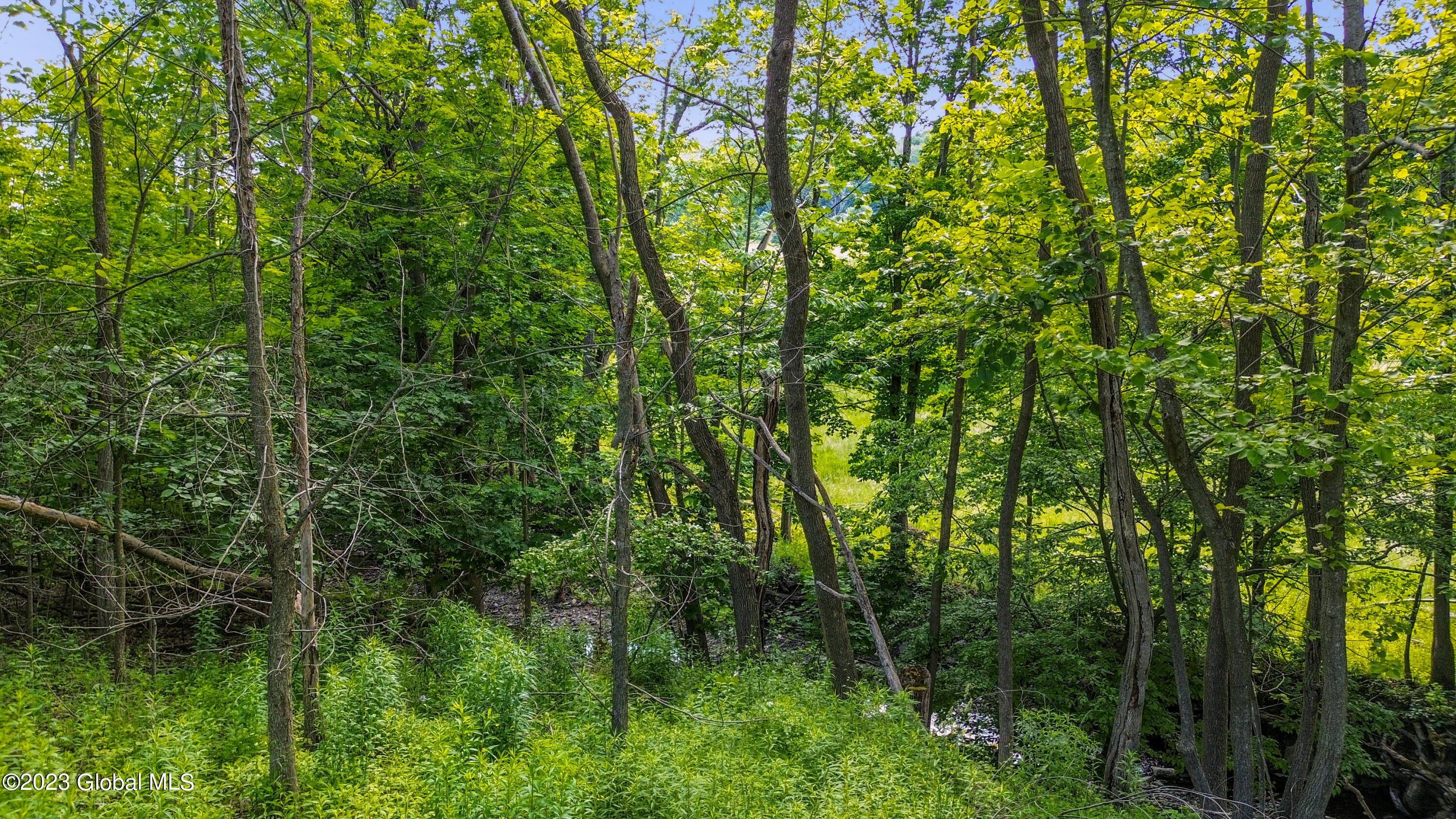 477 Beards Hollow Road