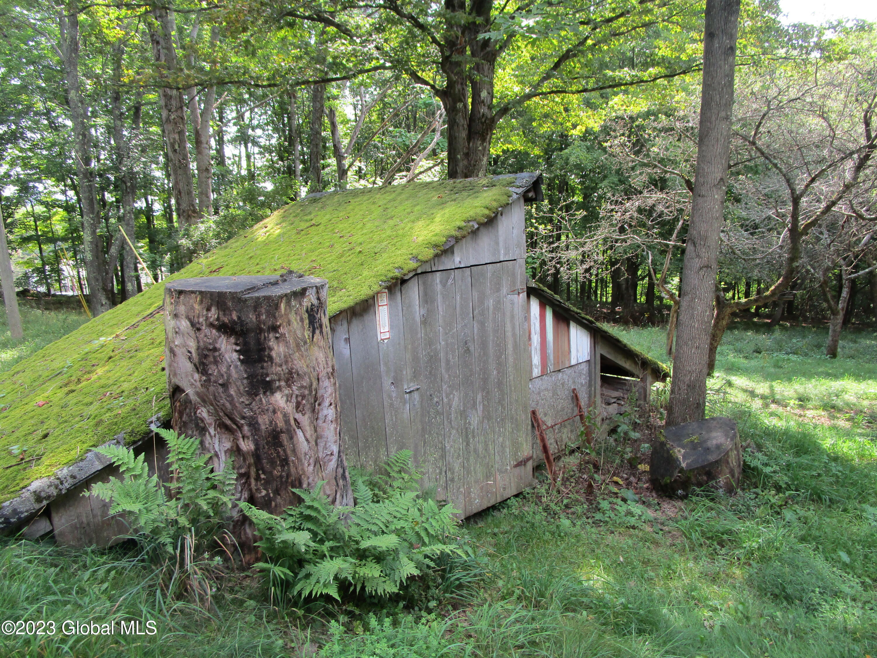335 Hill Road