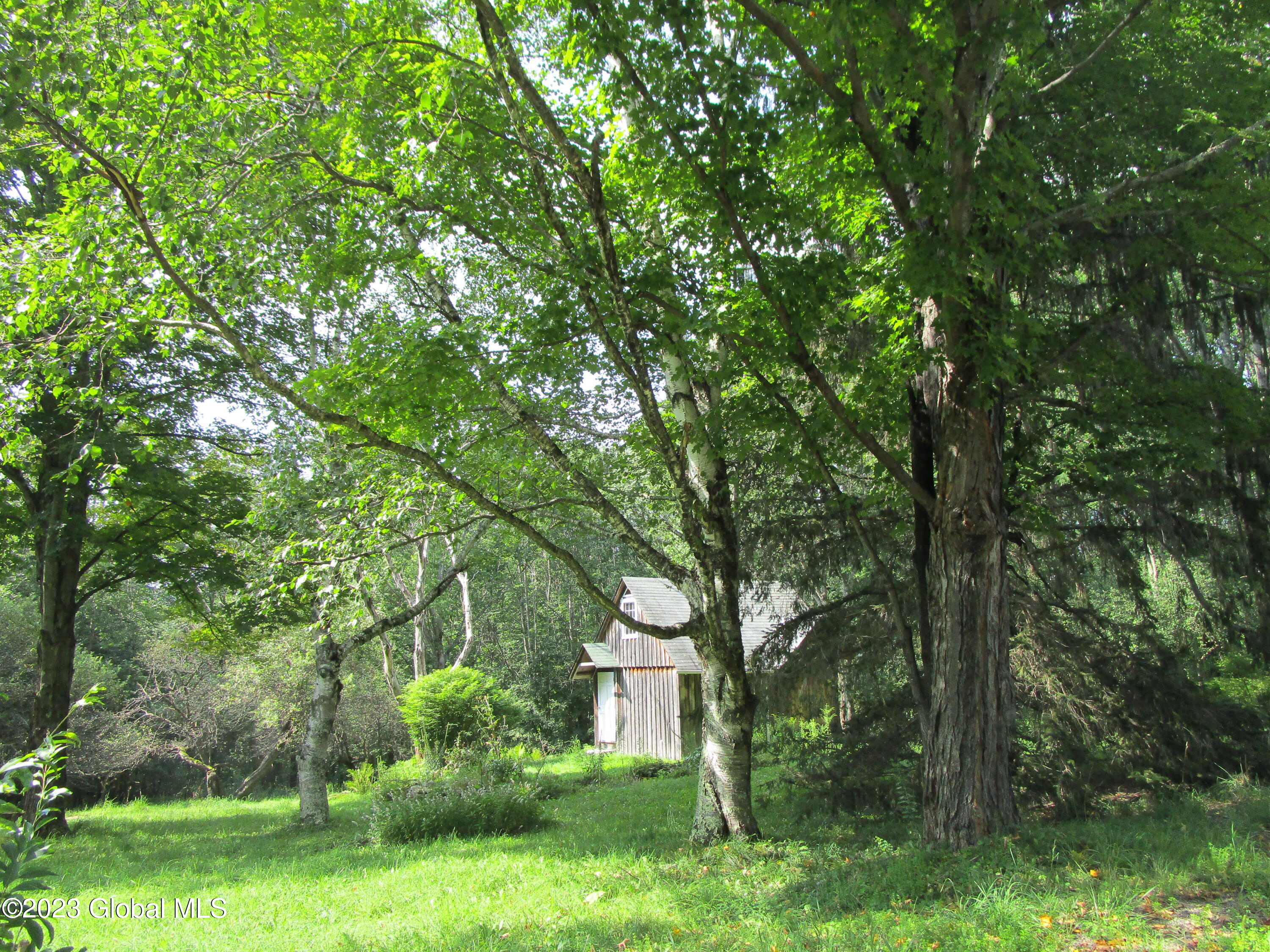 335 Hill Road