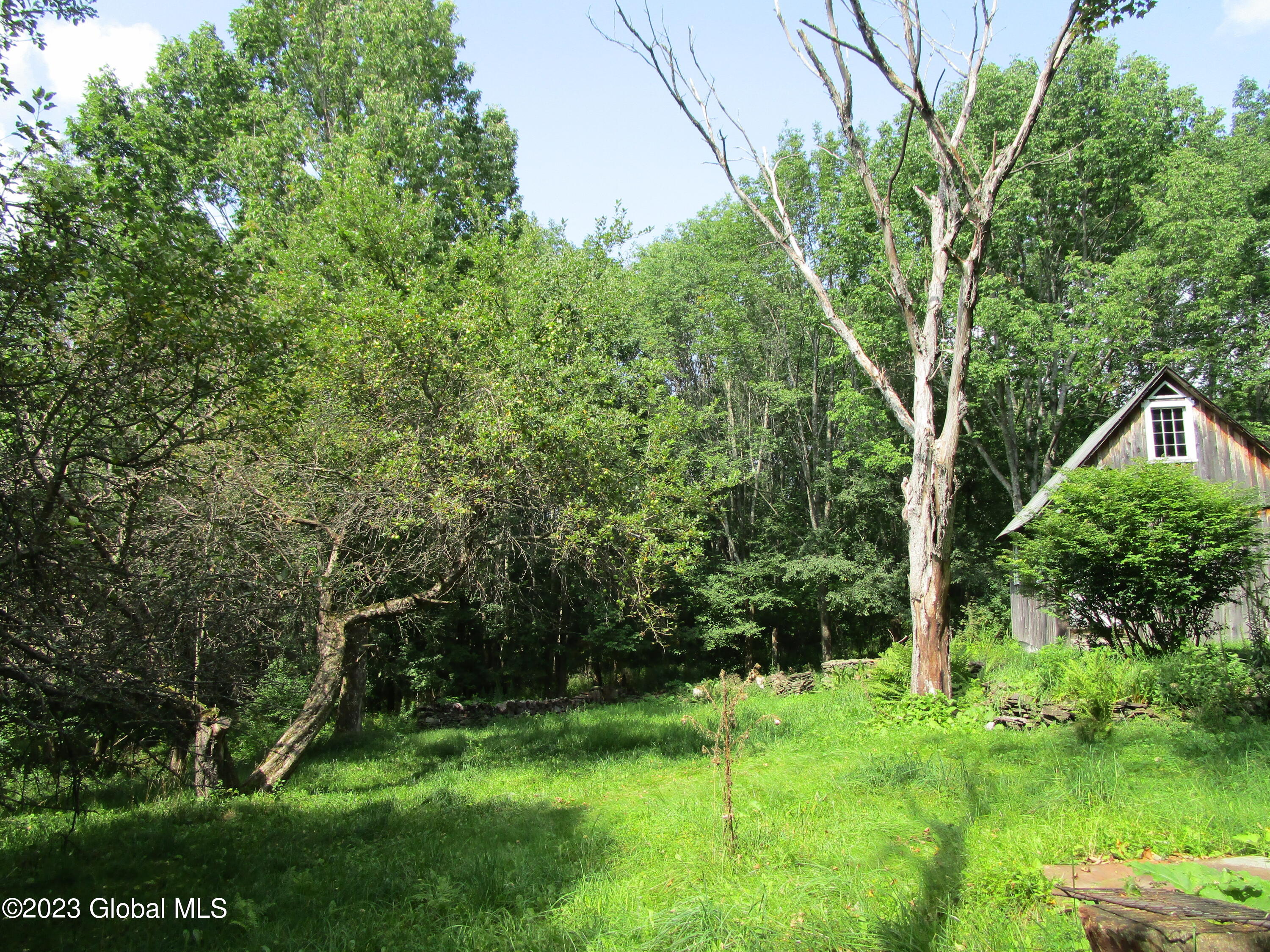 335 Hill Road