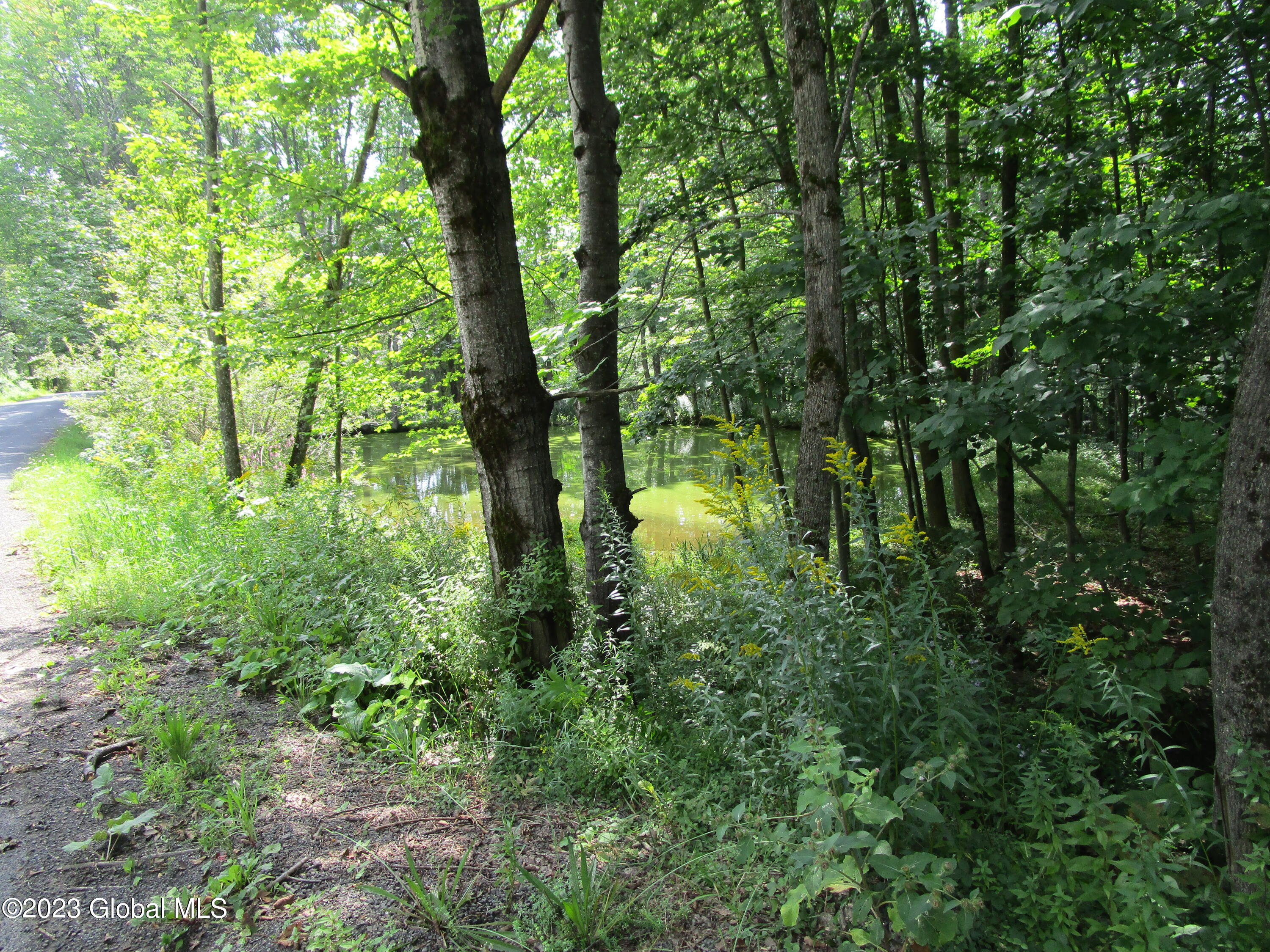 335 Hill Road