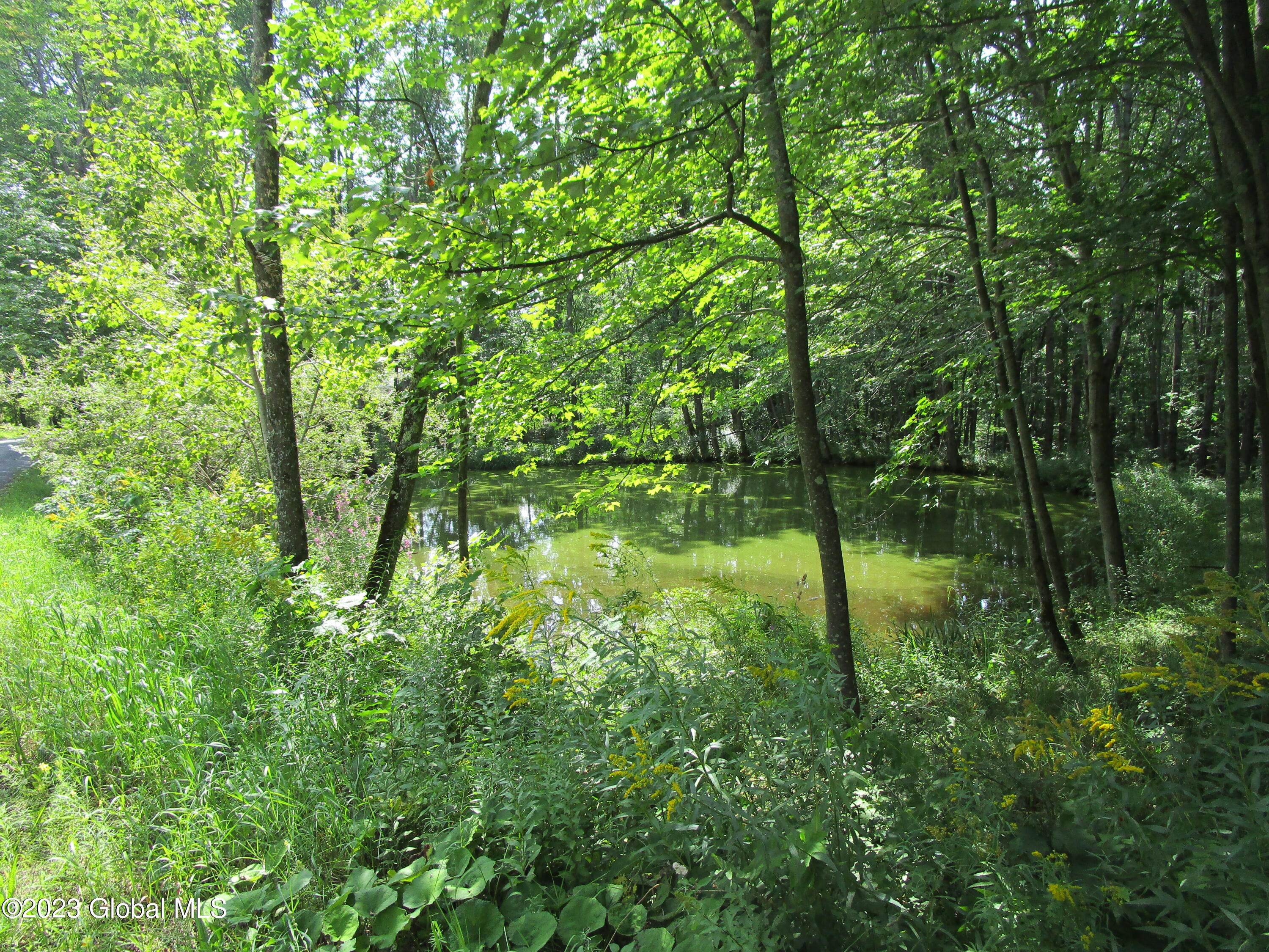 335 Hill Road