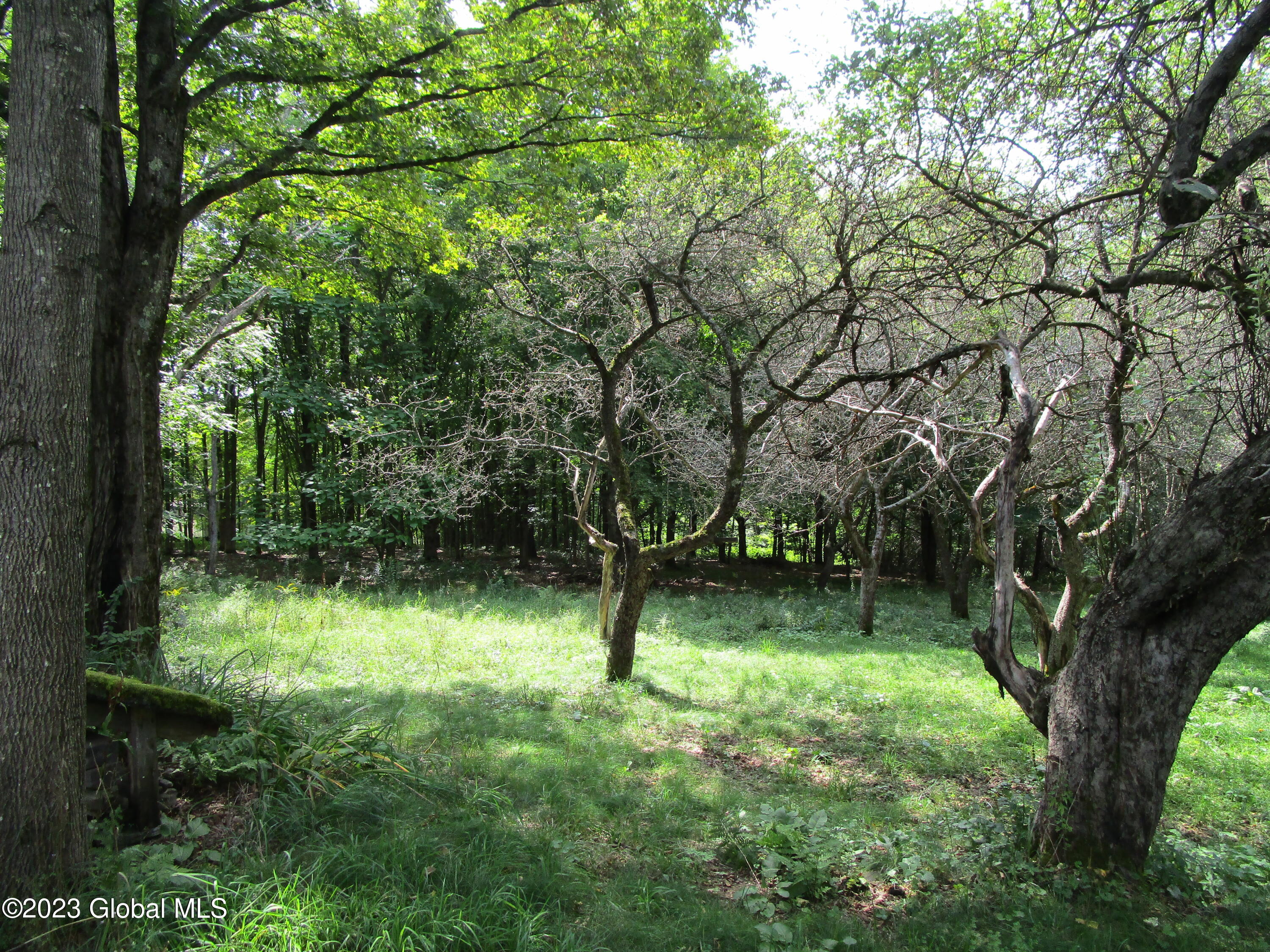 335 Hill Road