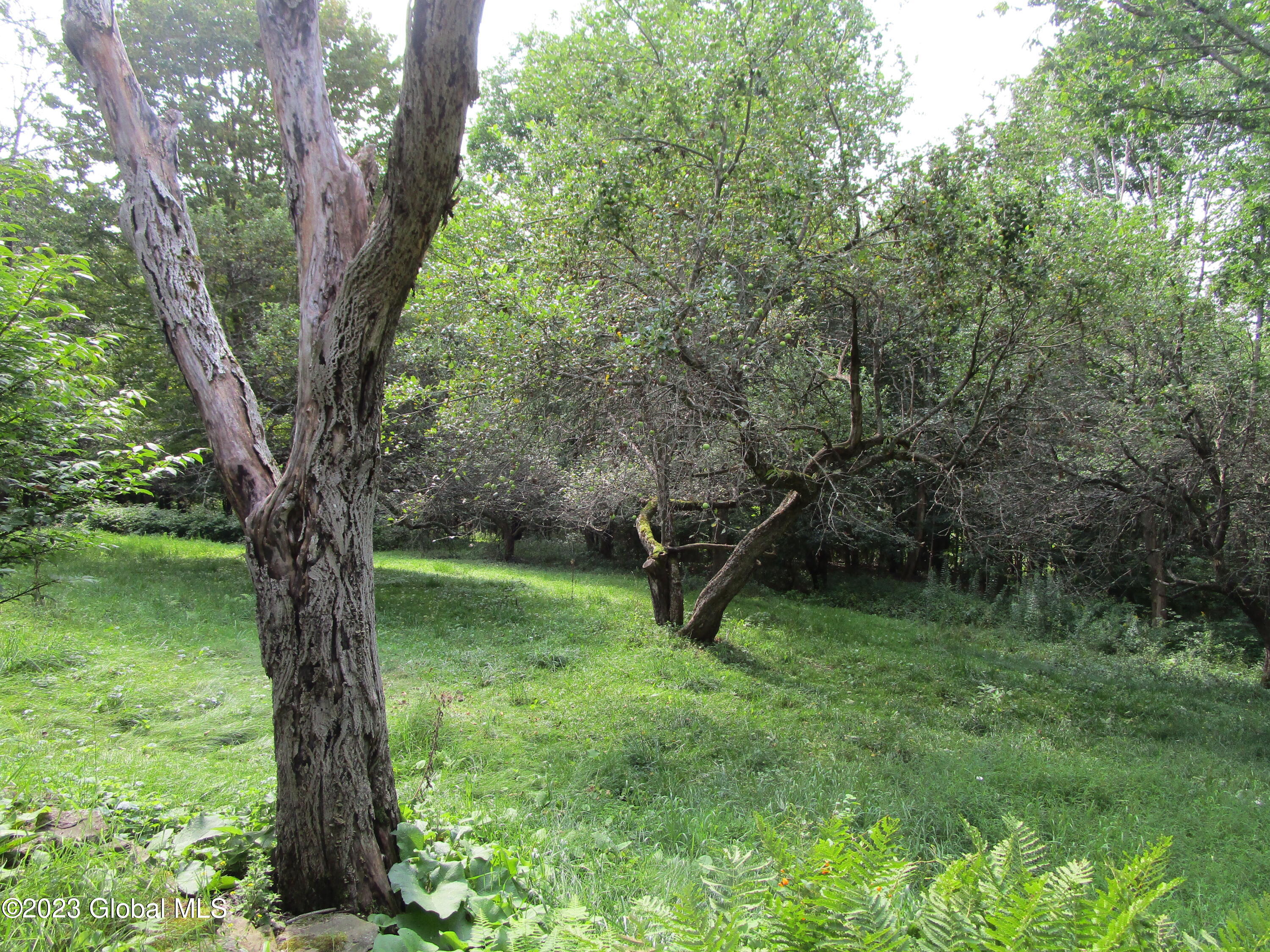 335 Hill Road