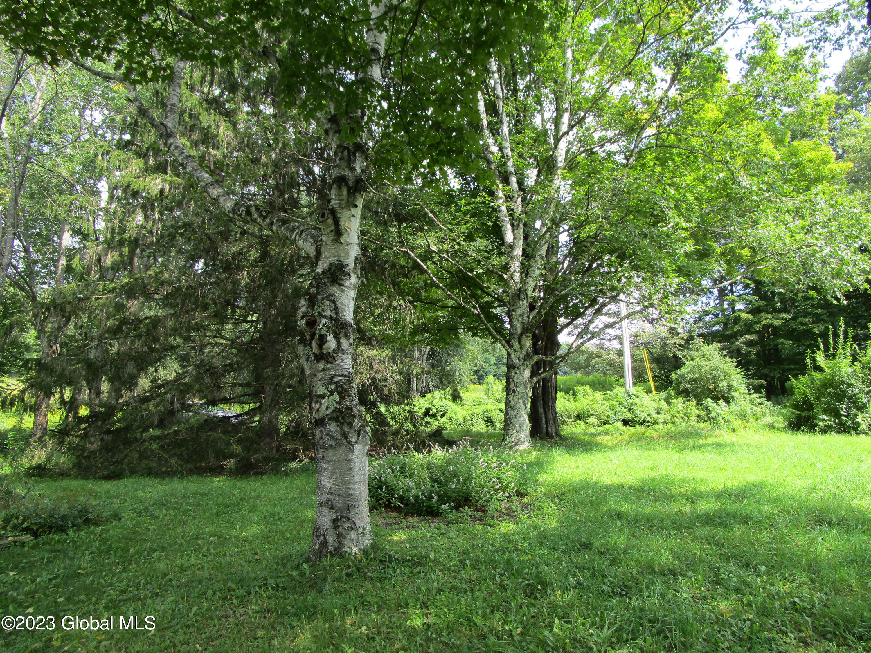 335 Hill Road