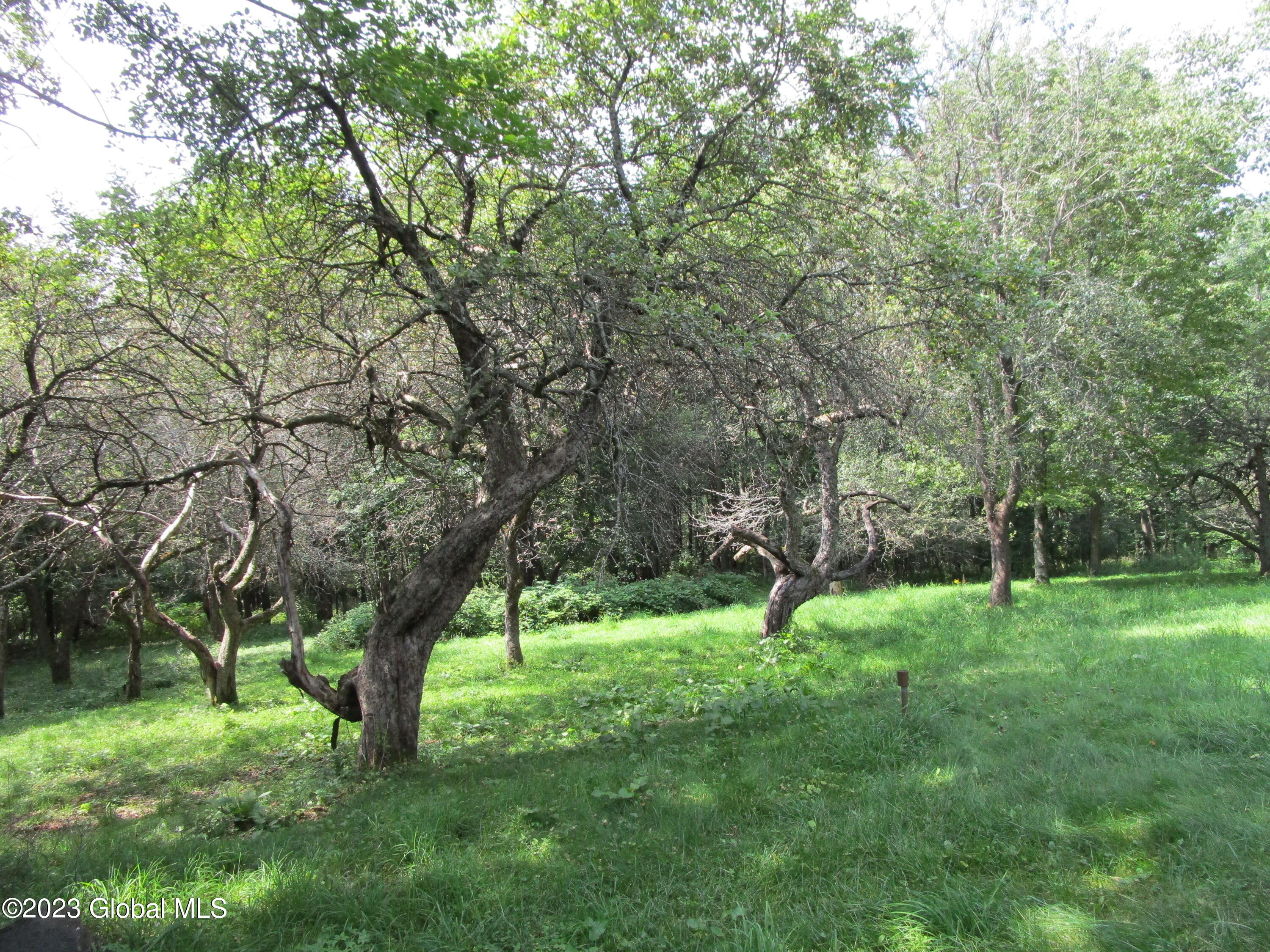 335 Hill Road