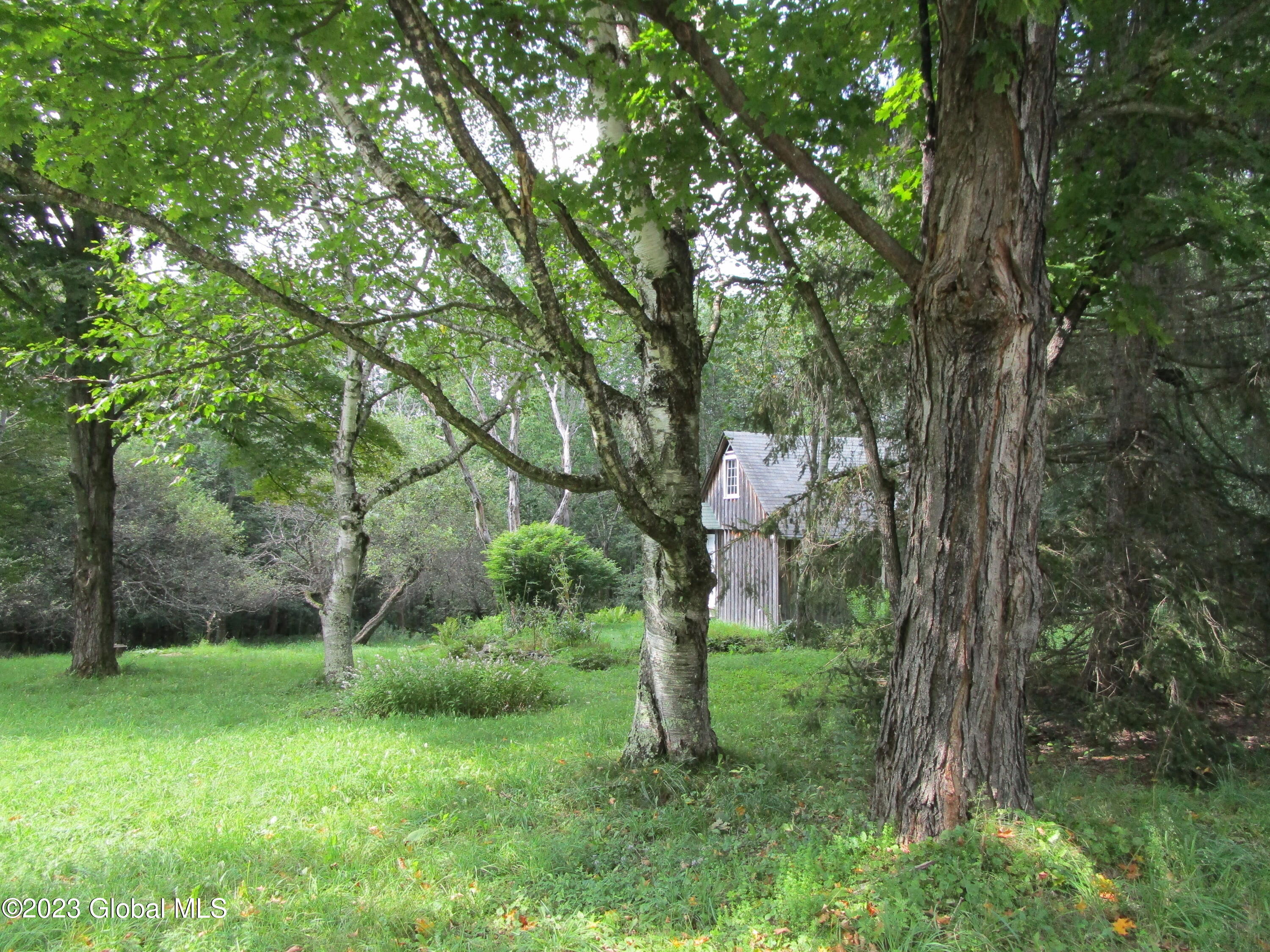 335 Hill Road