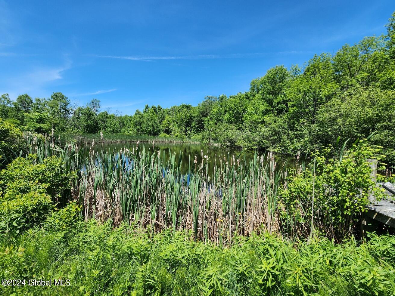 746 W Richmondville Road