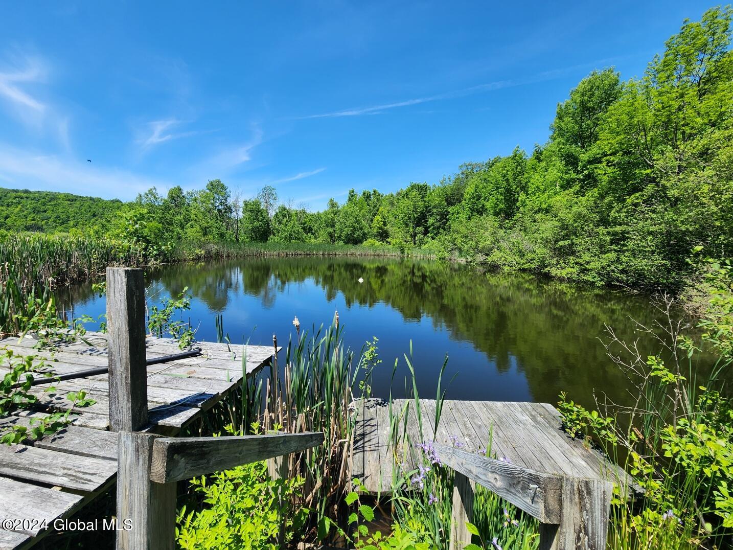 746 W Richmondville Road