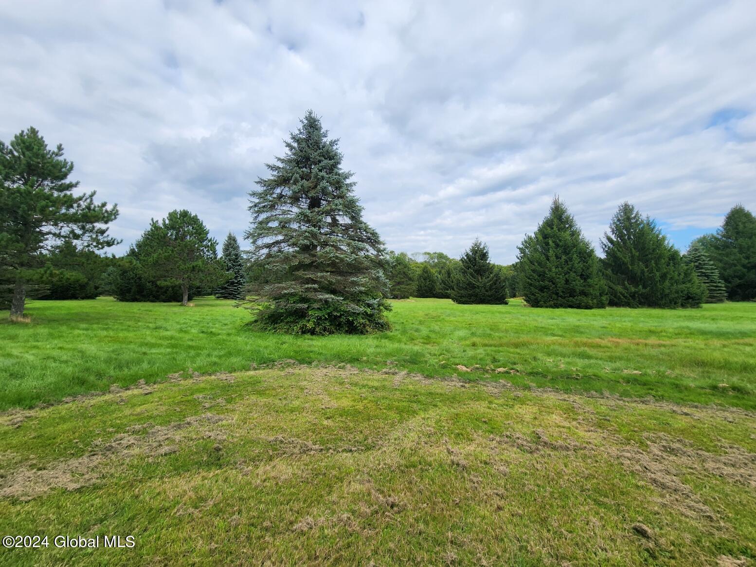 222 Stone Ridge Drive