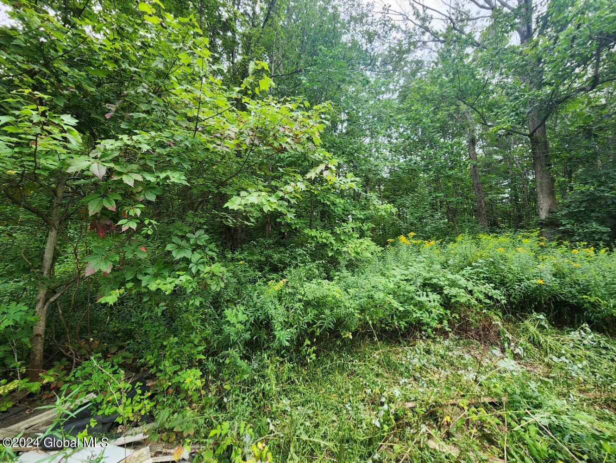 224 Spring Road