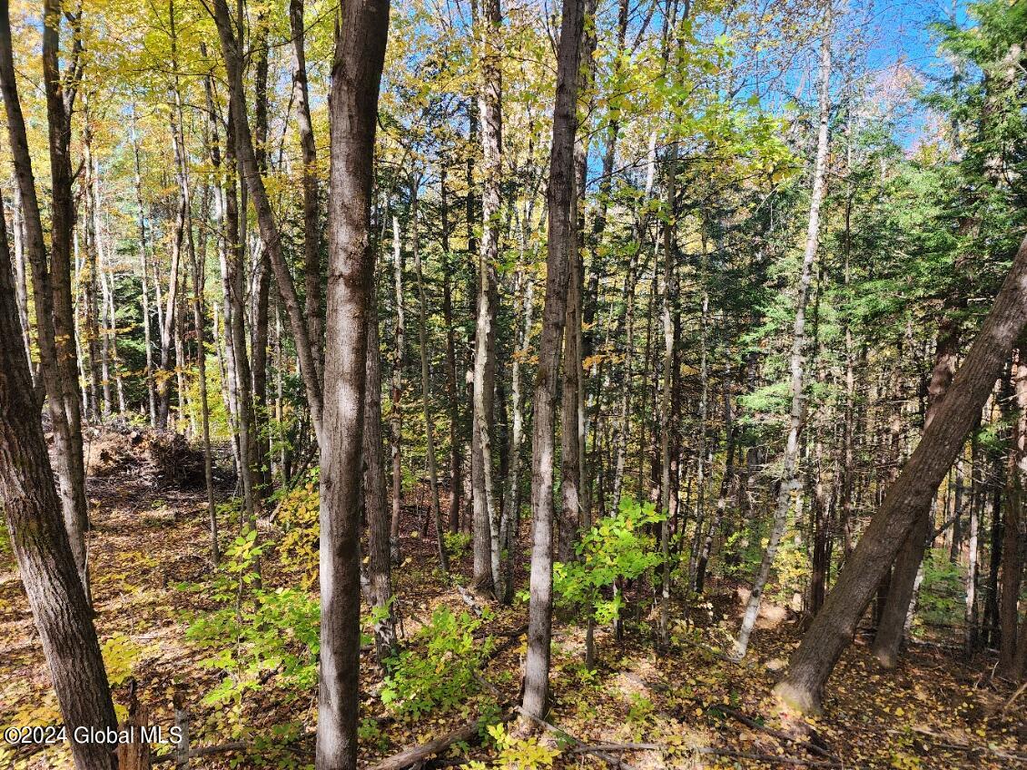 L15.12 W OFC Richmondville Road