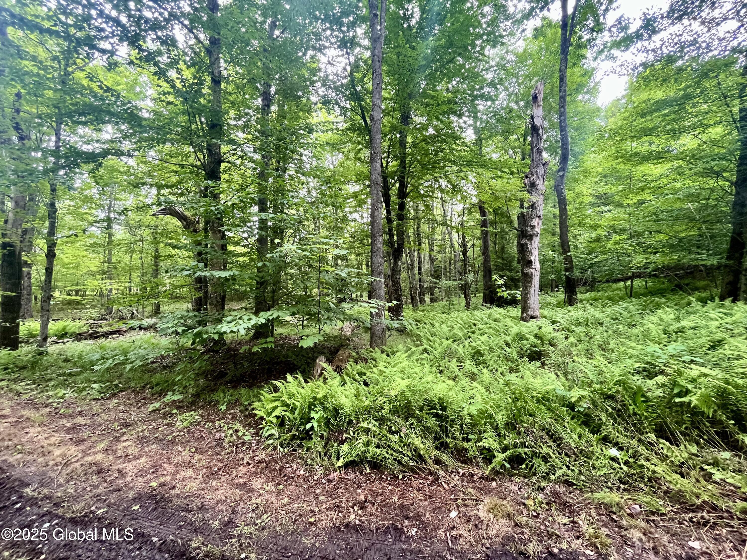 2285 State Route 10