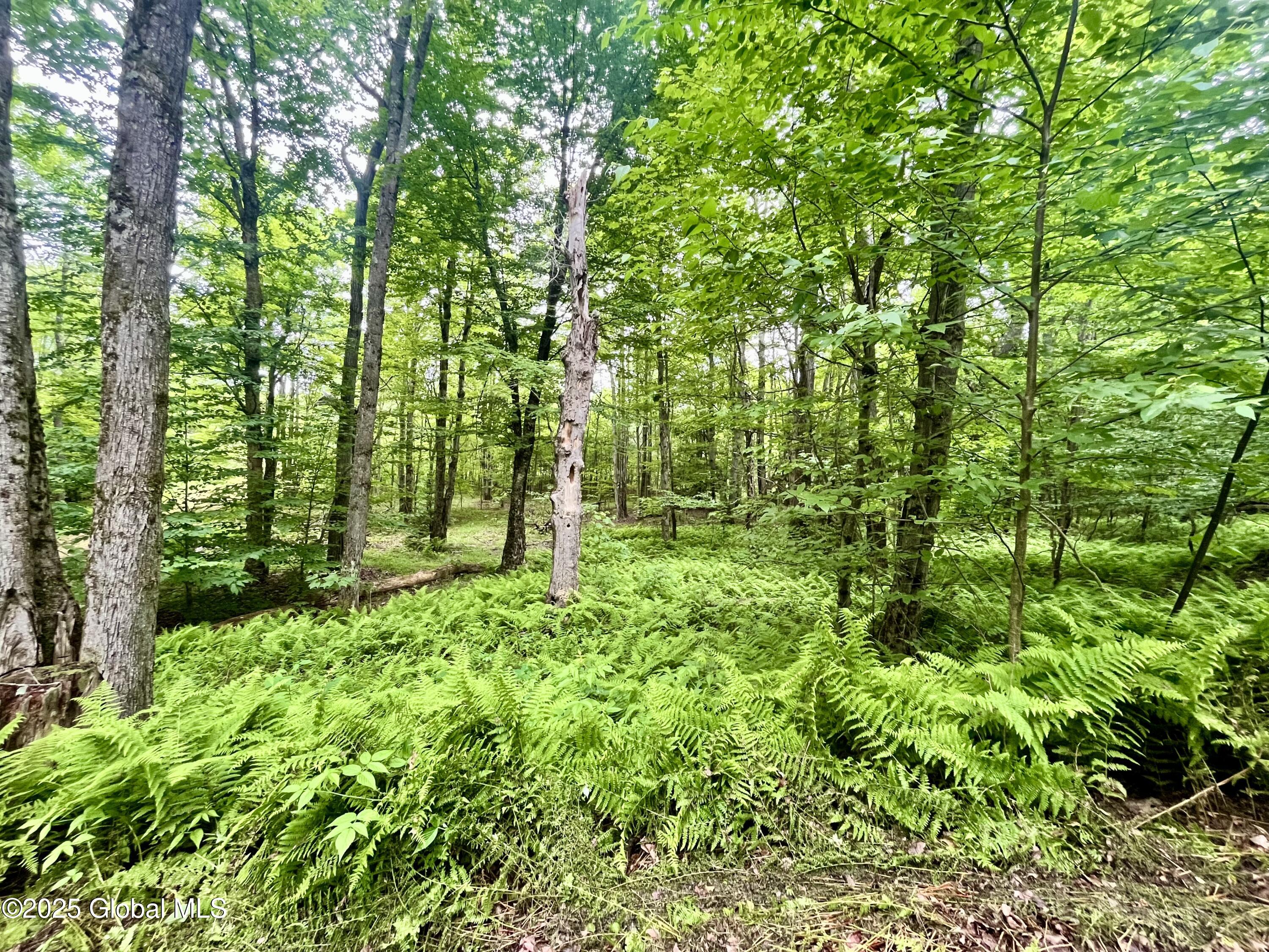 2285 State Route 10
