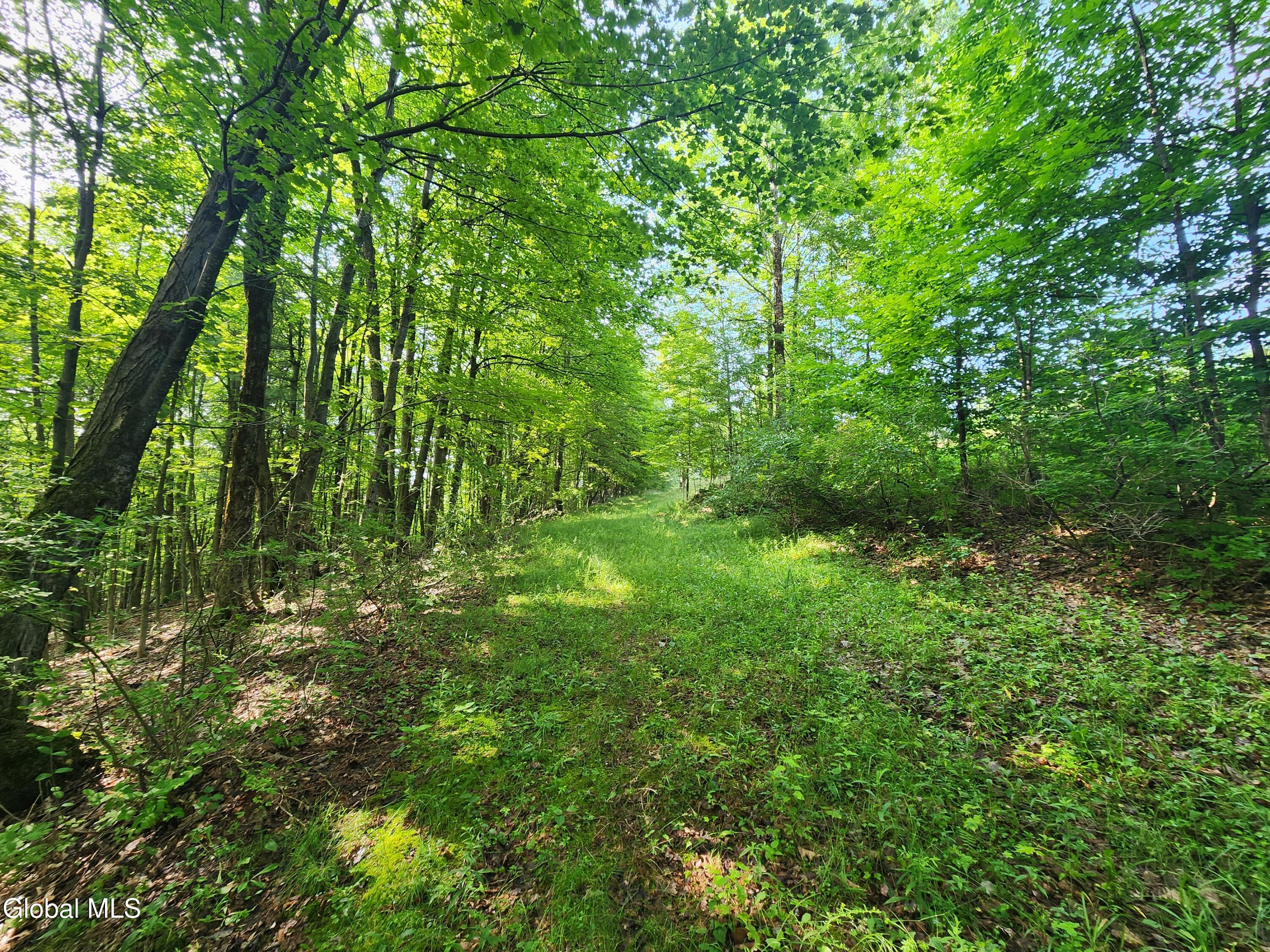 45 E Hill Road