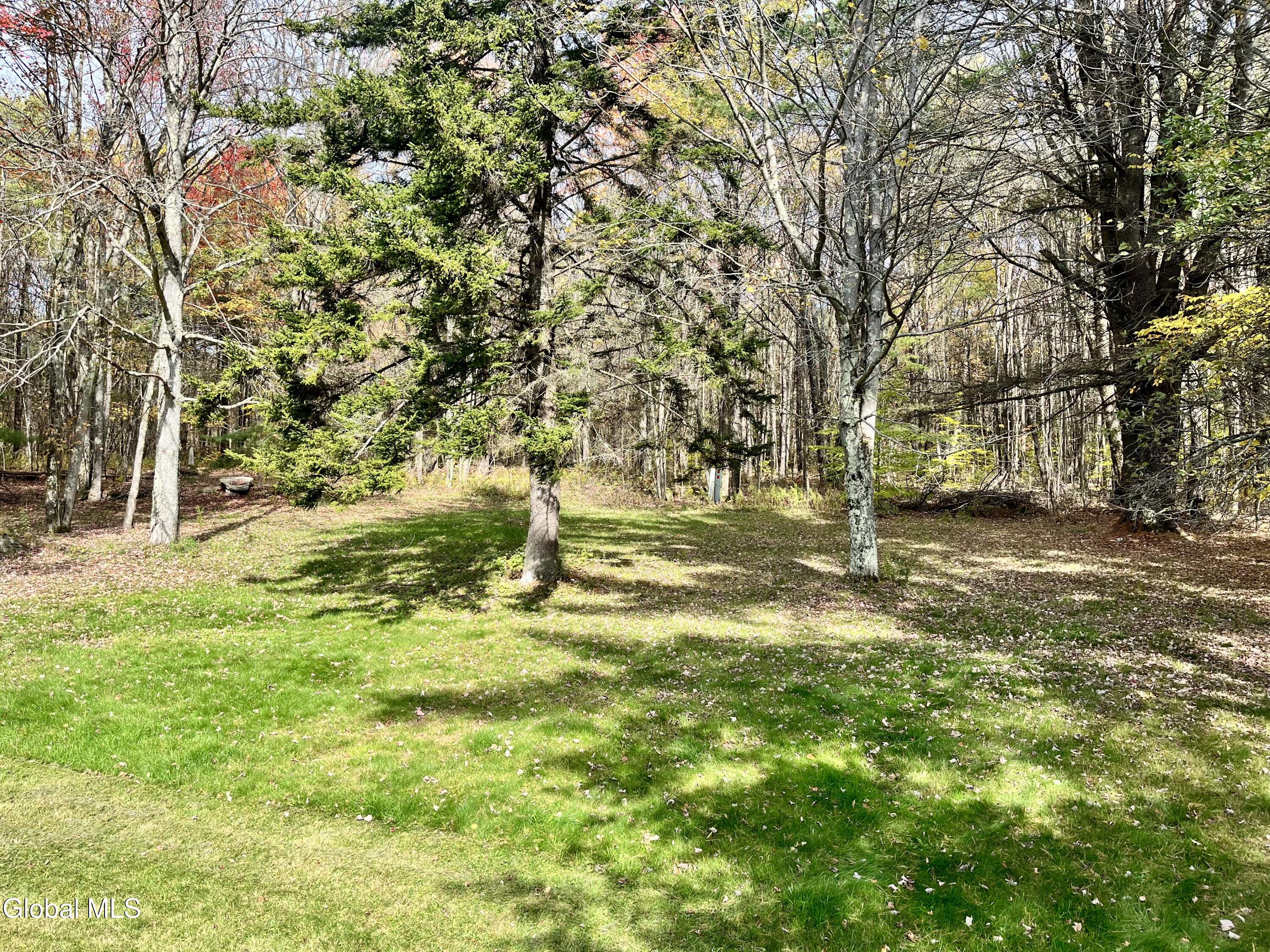 1064 Titus Lake Road, Harpersfield