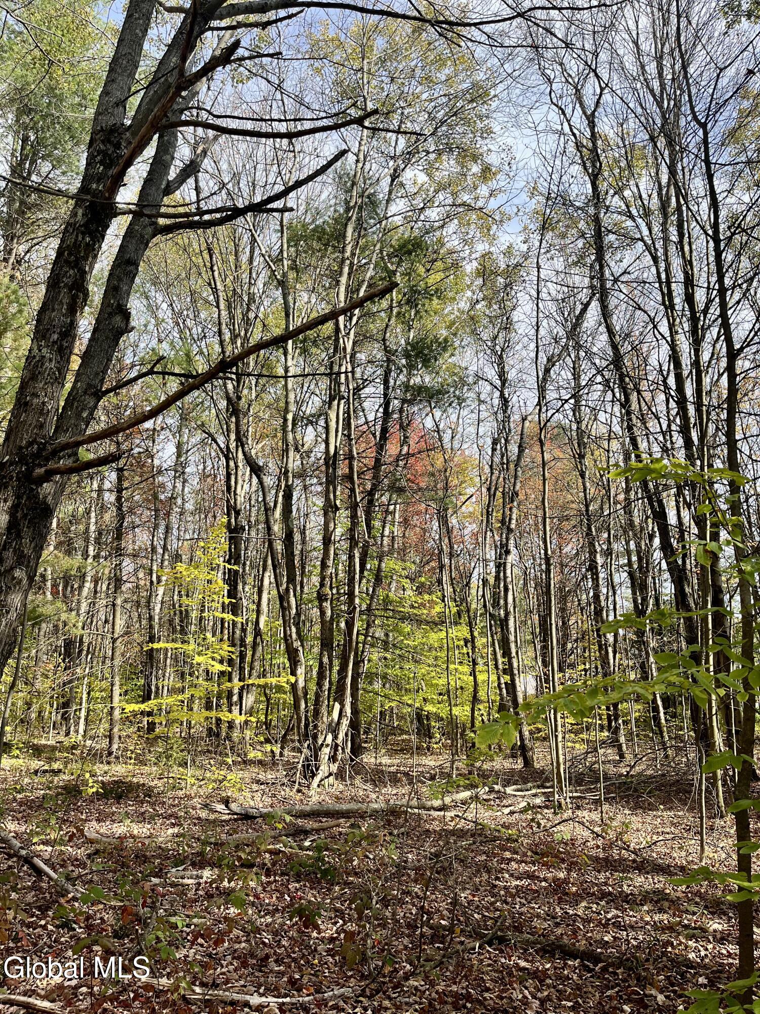 1064 Titus Lake Road, Harpersfield