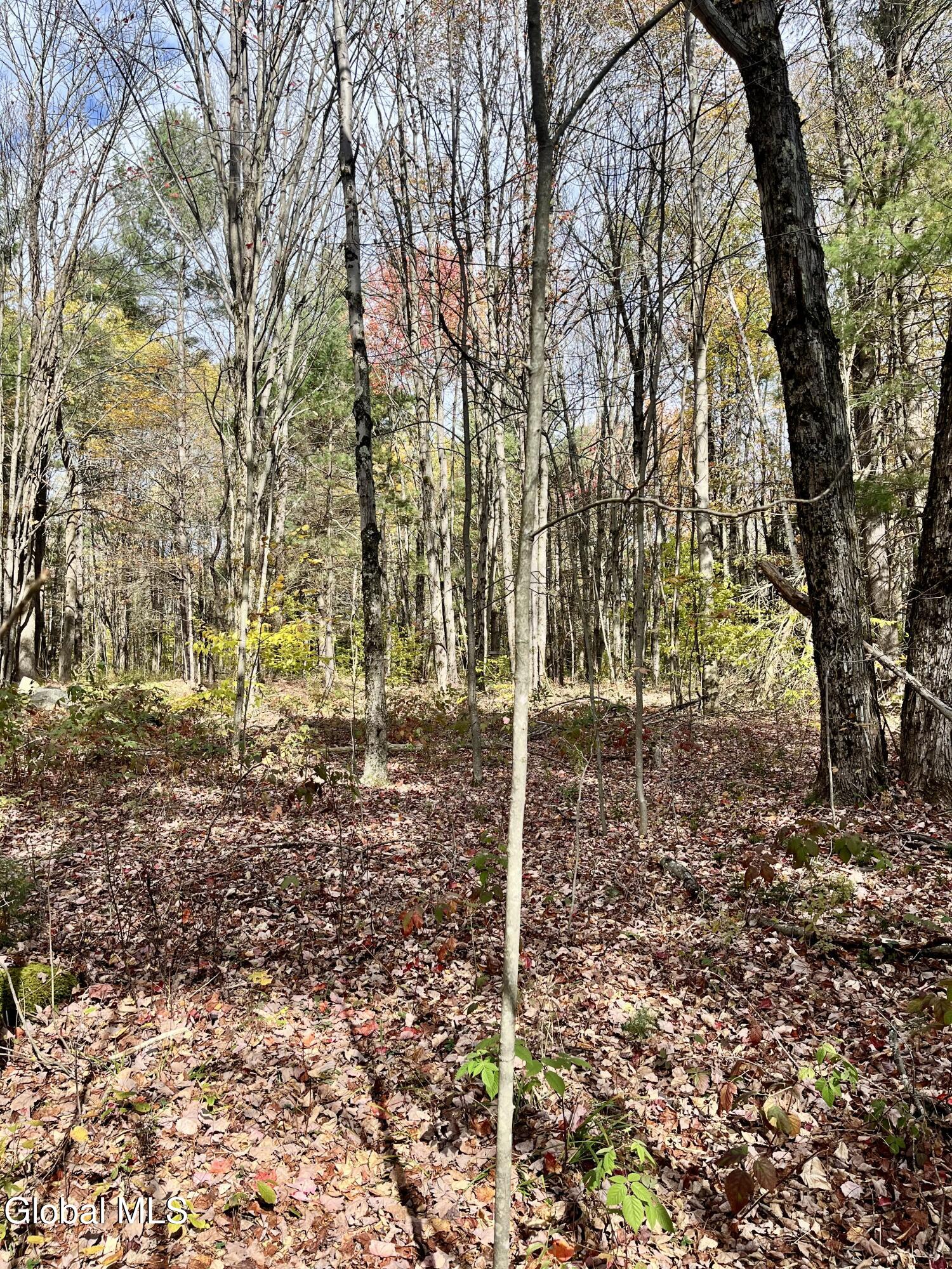 1064 Titus Lake Road, Harpersfield