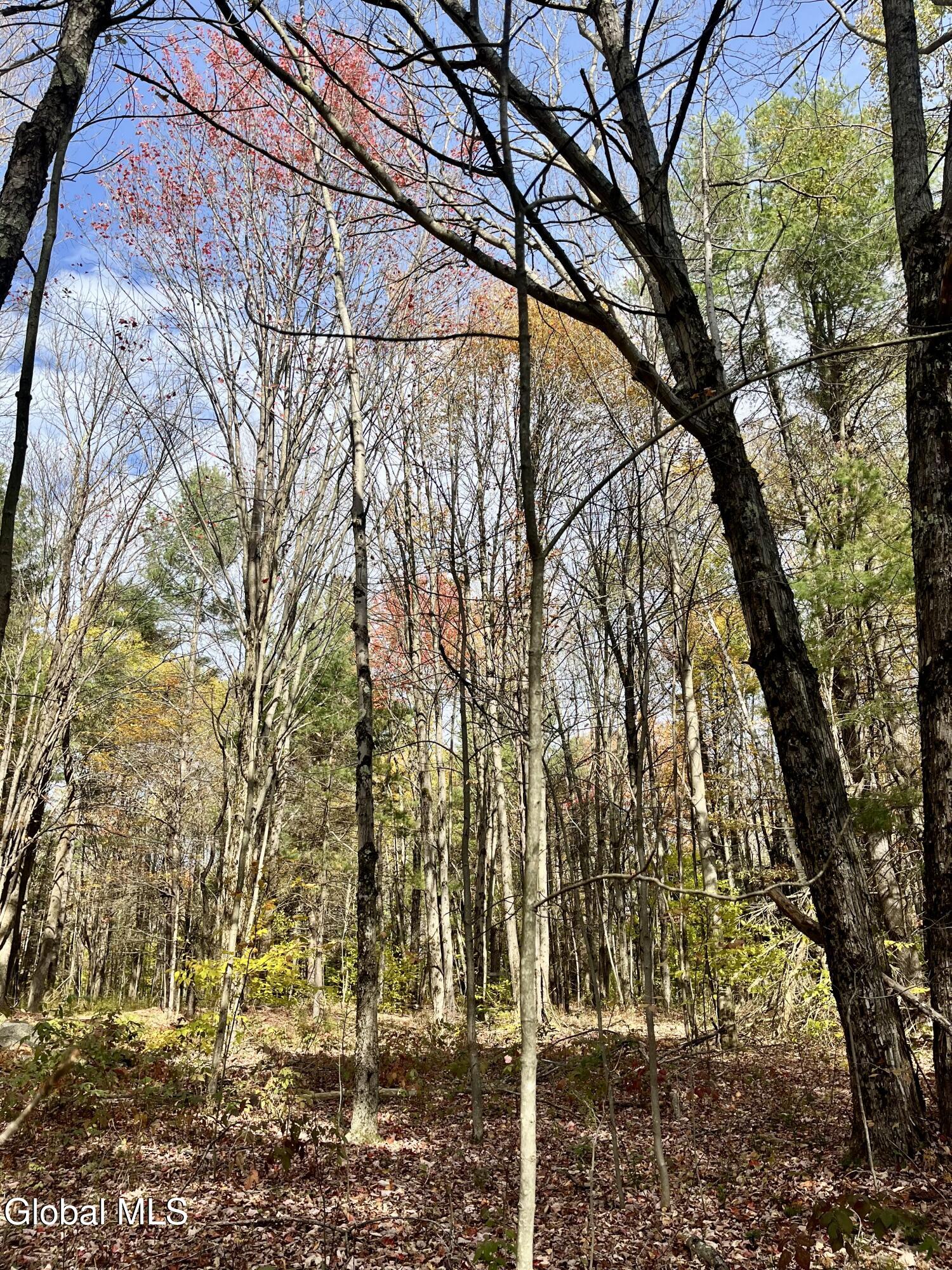 1064 Titus Lake Road, Harpersfield