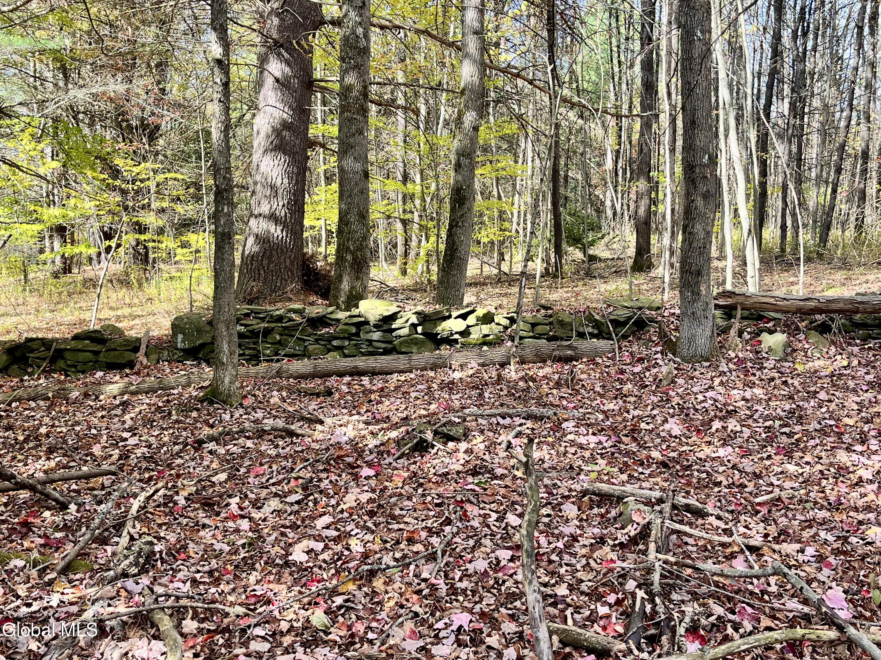 1064 Titus Lake Road, Harpersfield