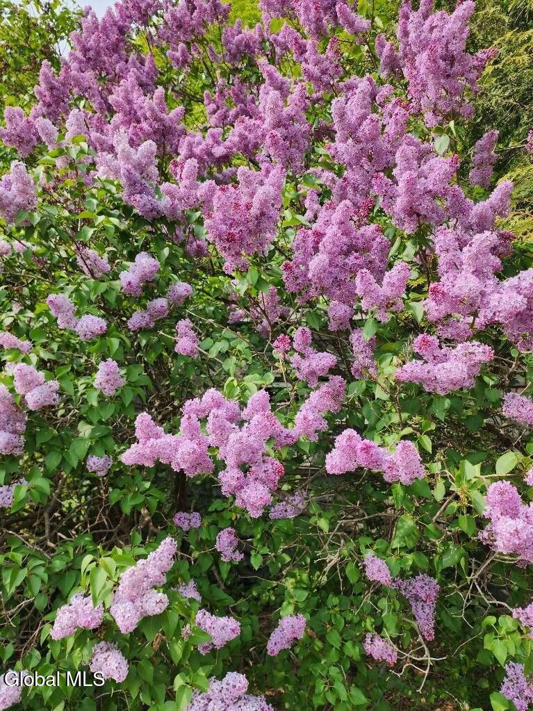 2071 Highway Route 20