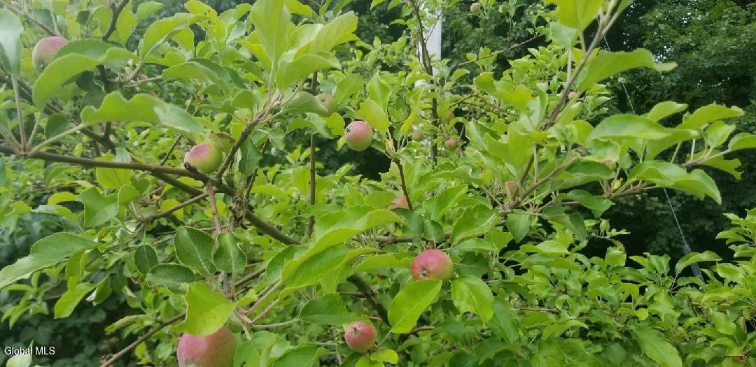 2071 Highway Route 20