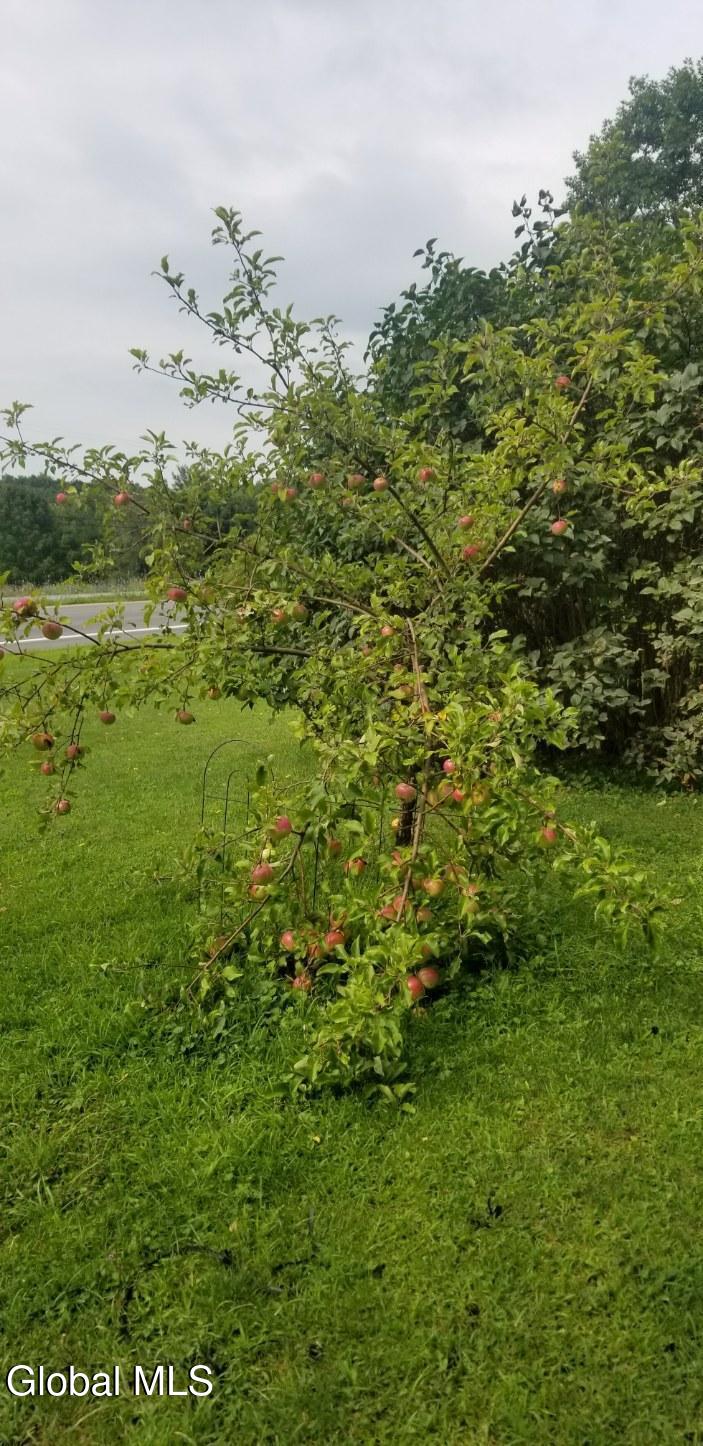 2071 Highway Route 20