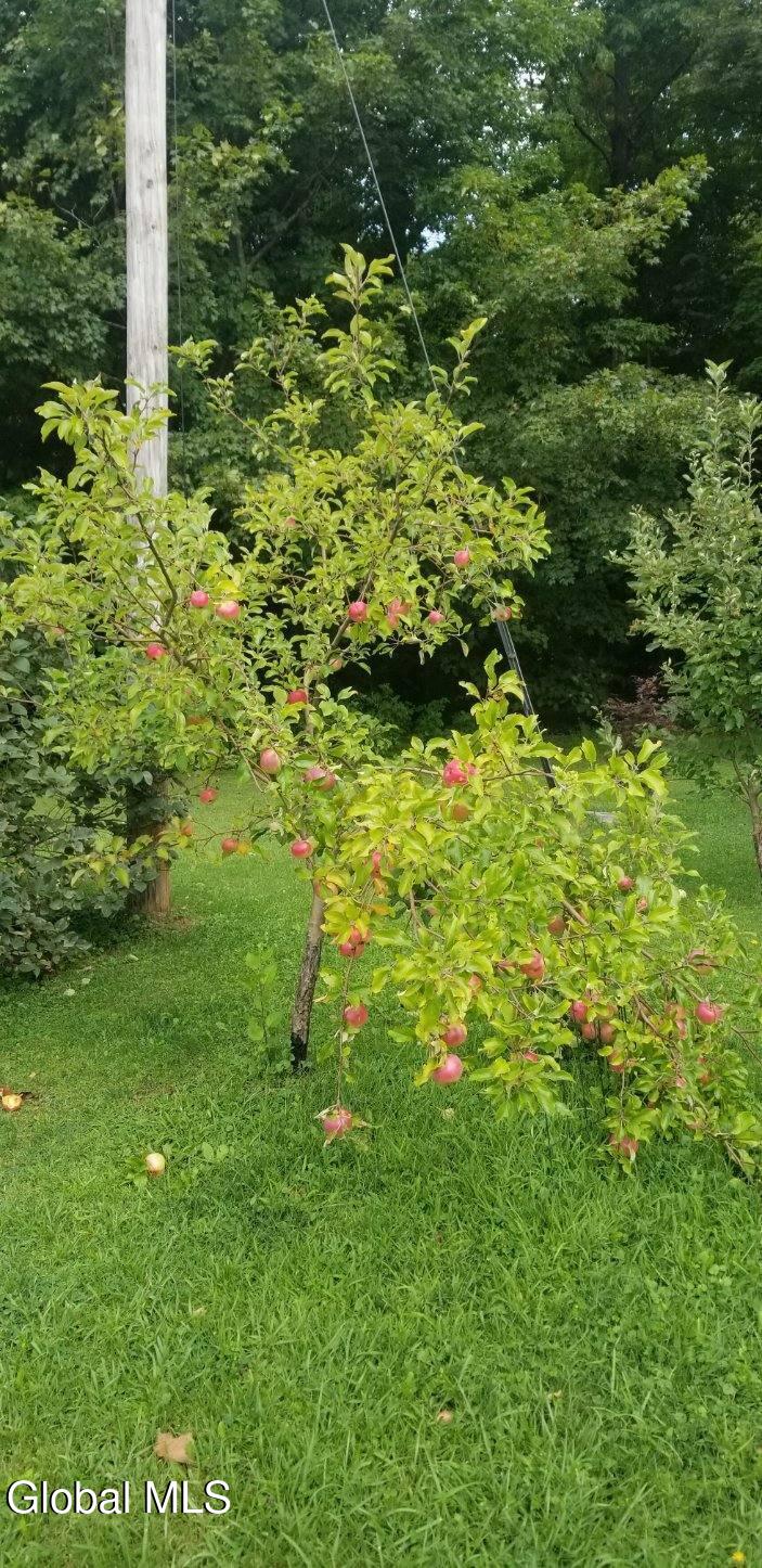 2071 Highway Route 20