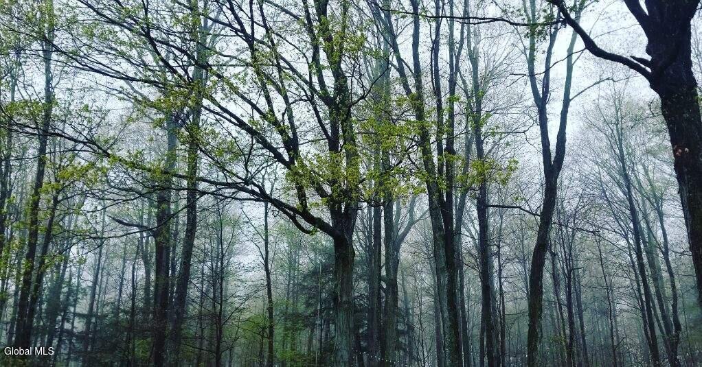 2071 Highway Route 20