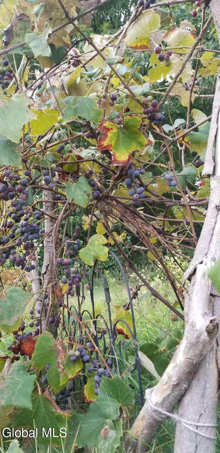 2071 Highway Route 20