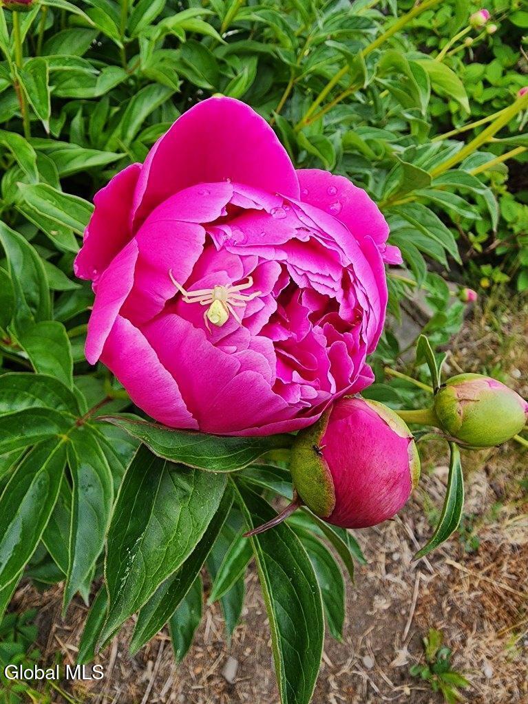 2071 Highway Route 20