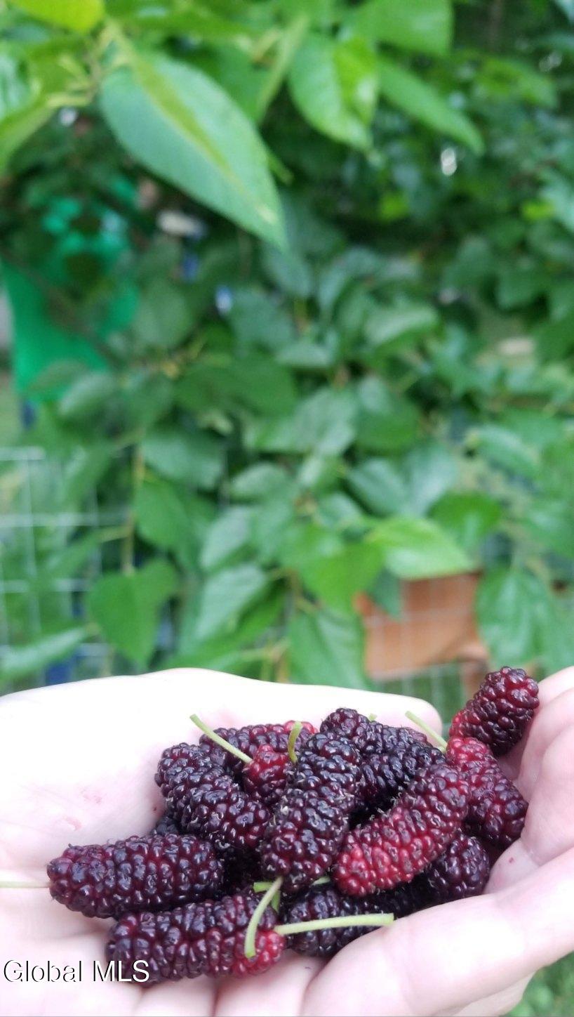 2071 Highway Route 20