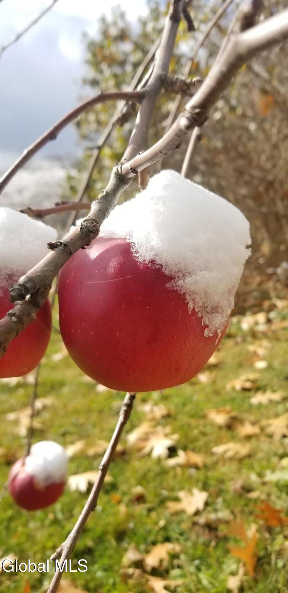 2071 Highway Route 20