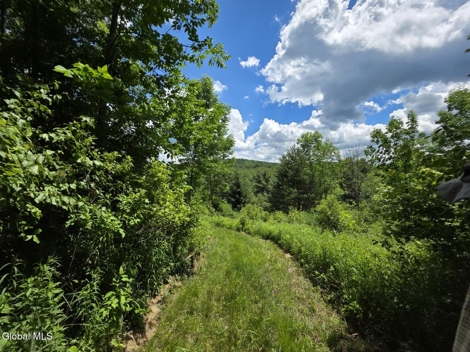 419 Halbert Hill Road