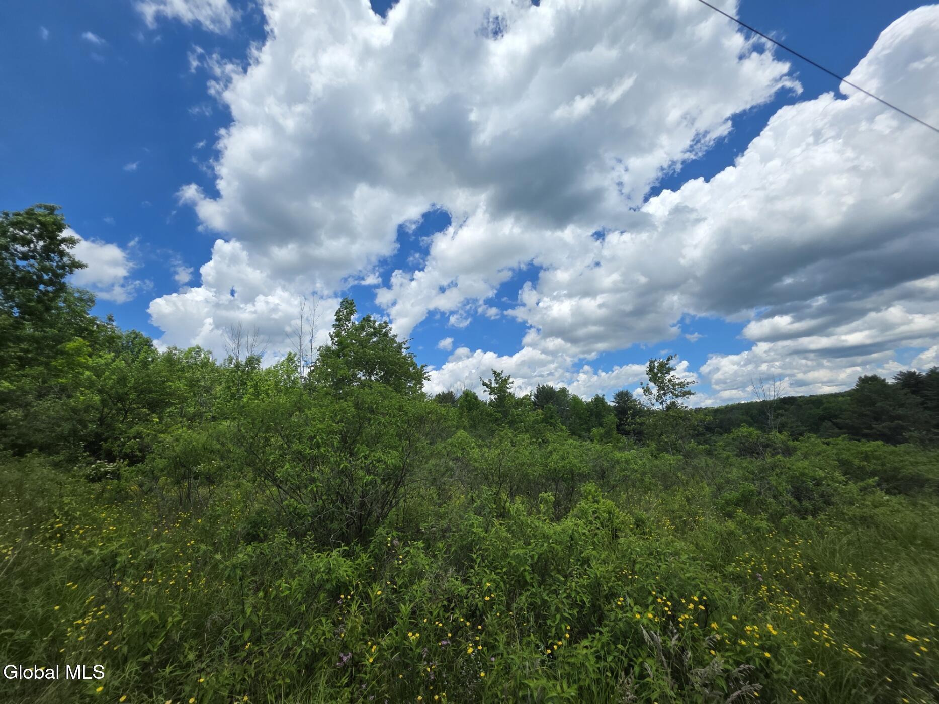 419 Halbert Hill Road