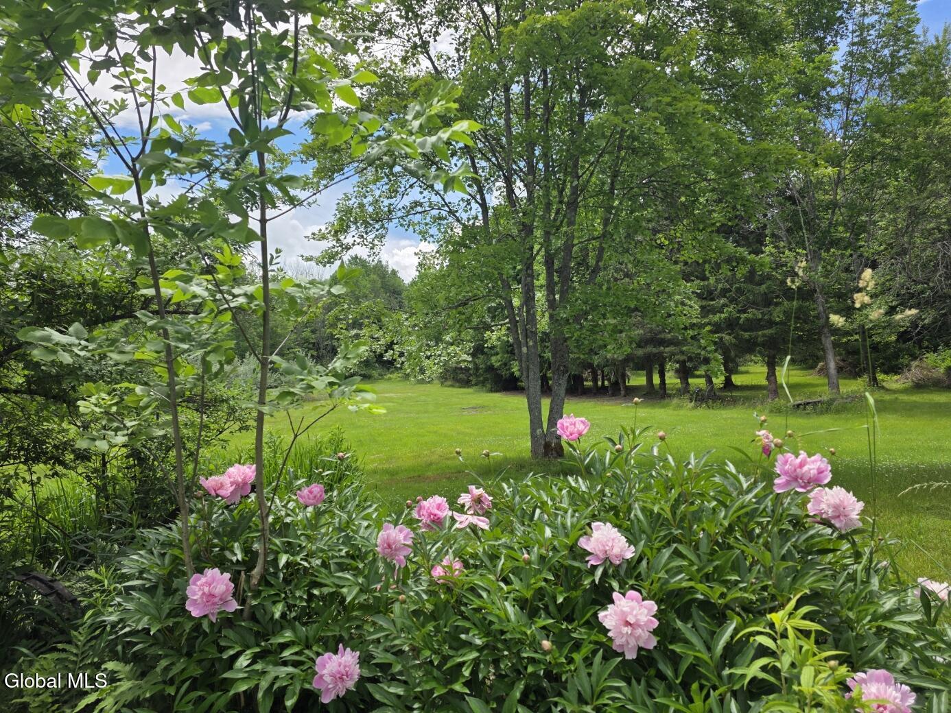 419 Halbert Hill Road