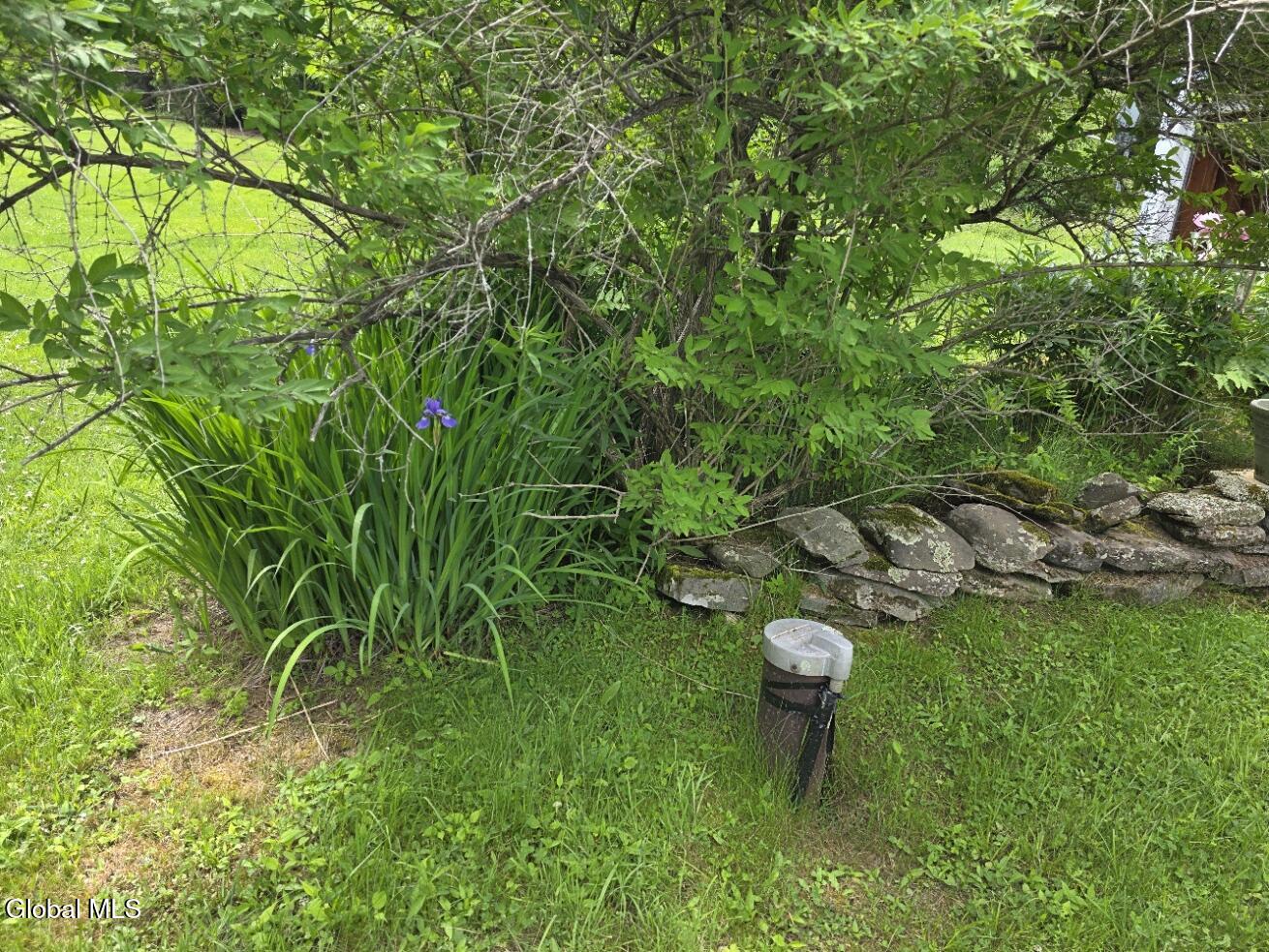 419 Halbert Hill Road