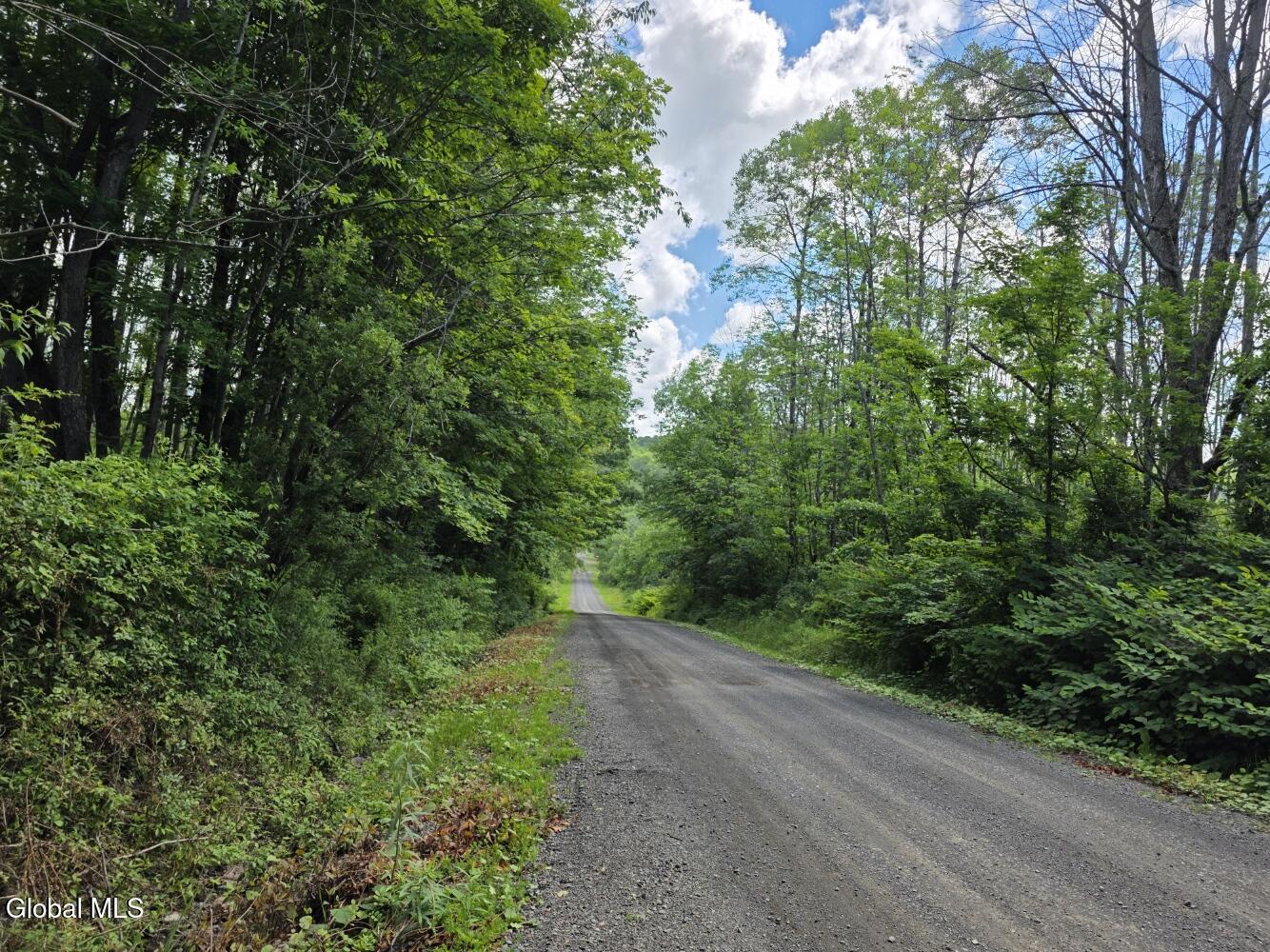 419 Halbert Hill Road