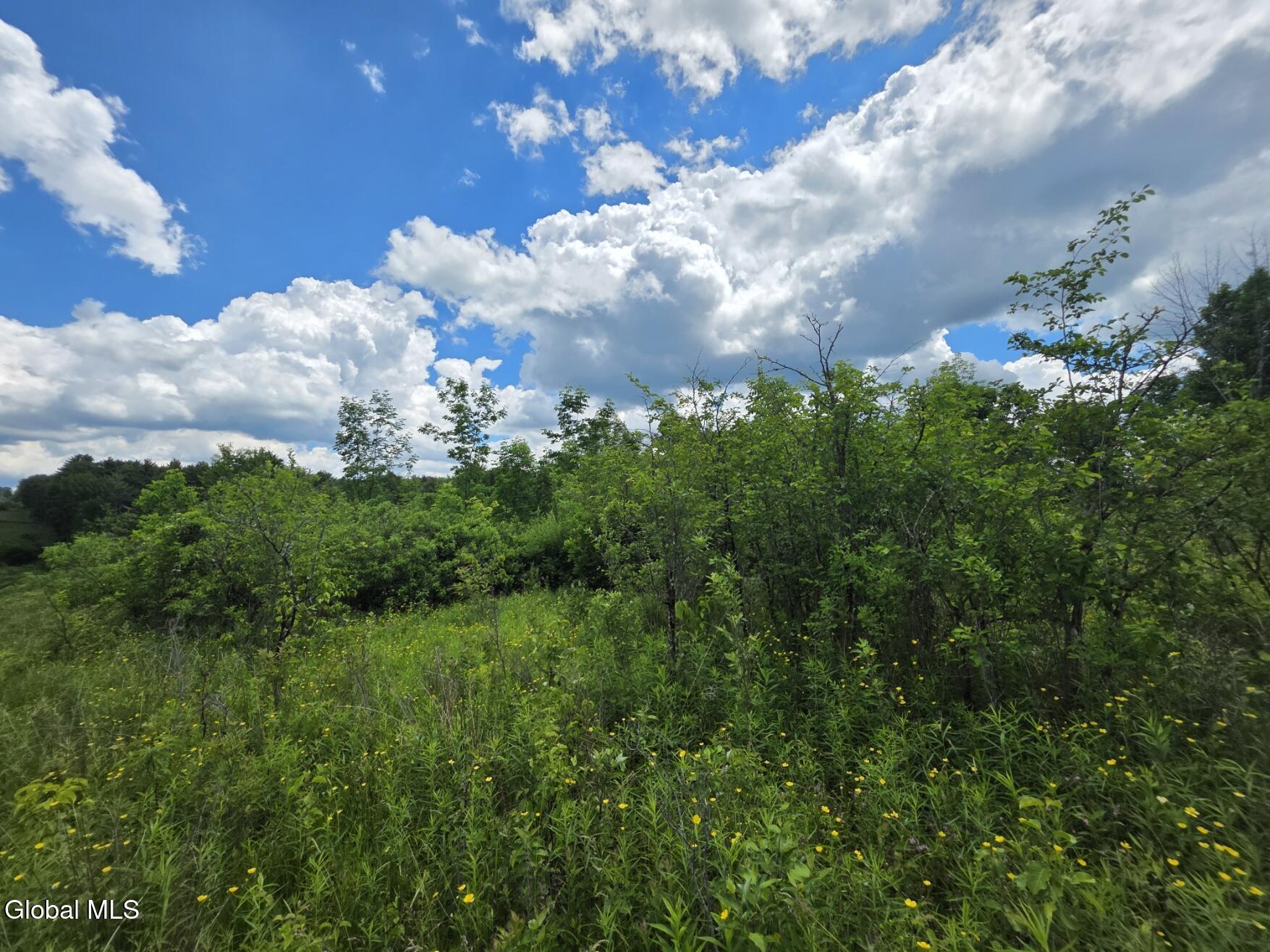 419 Halbert Hill Road