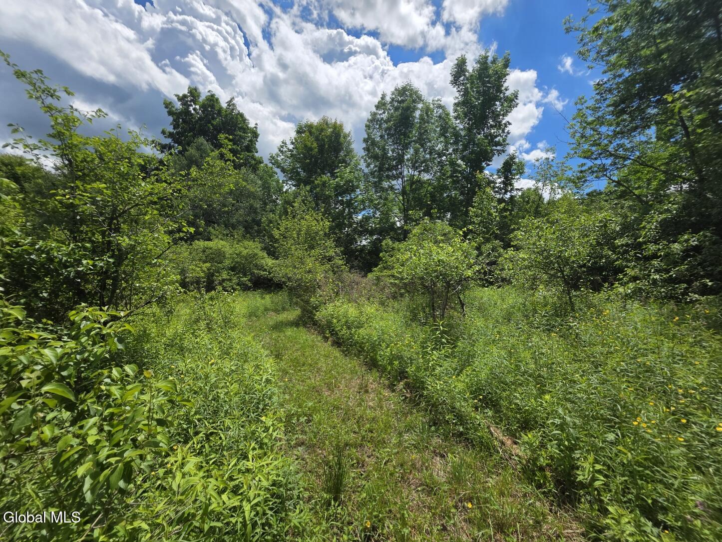 419 Halbert Hill Road