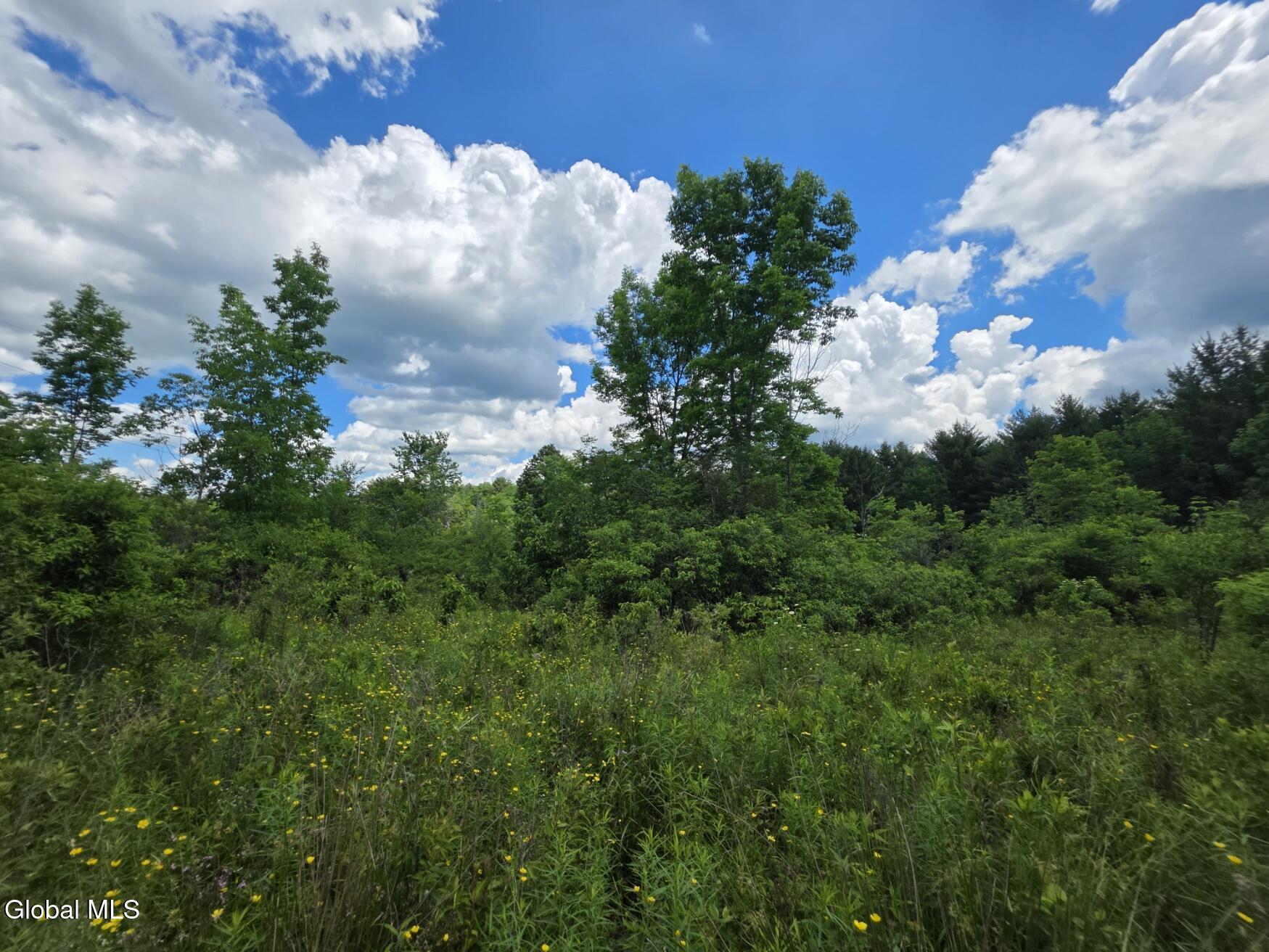 419 Halbert Hill Road