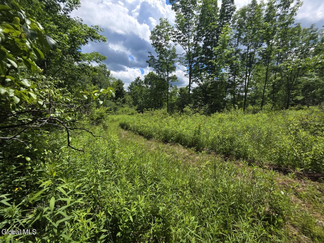 419 Halbert Hill Road