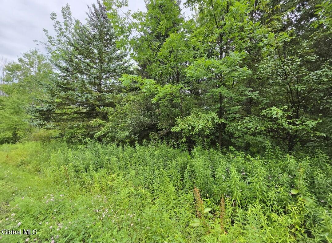 L-28.03 Halbert Hill Road, L-28.03